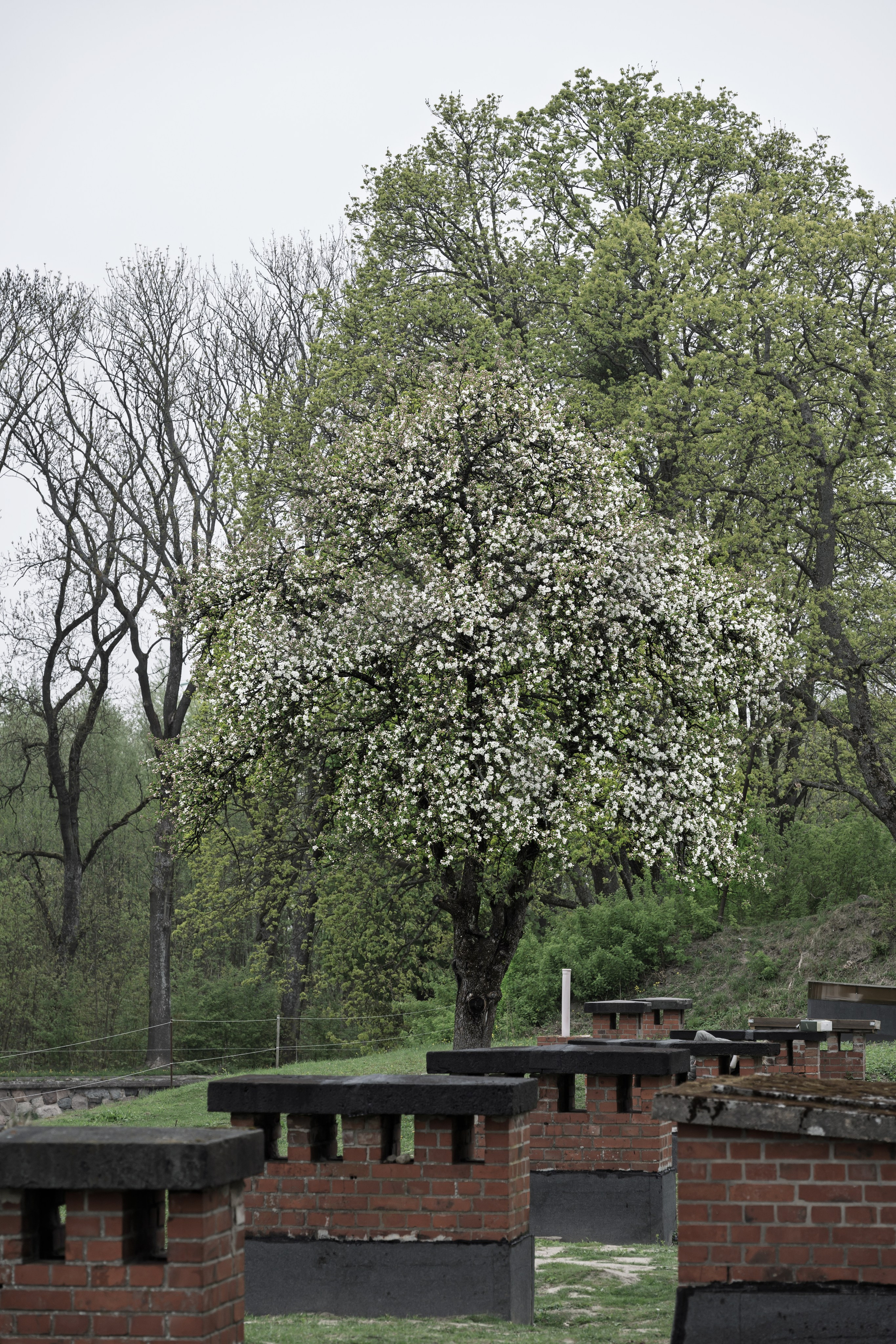 Калининград