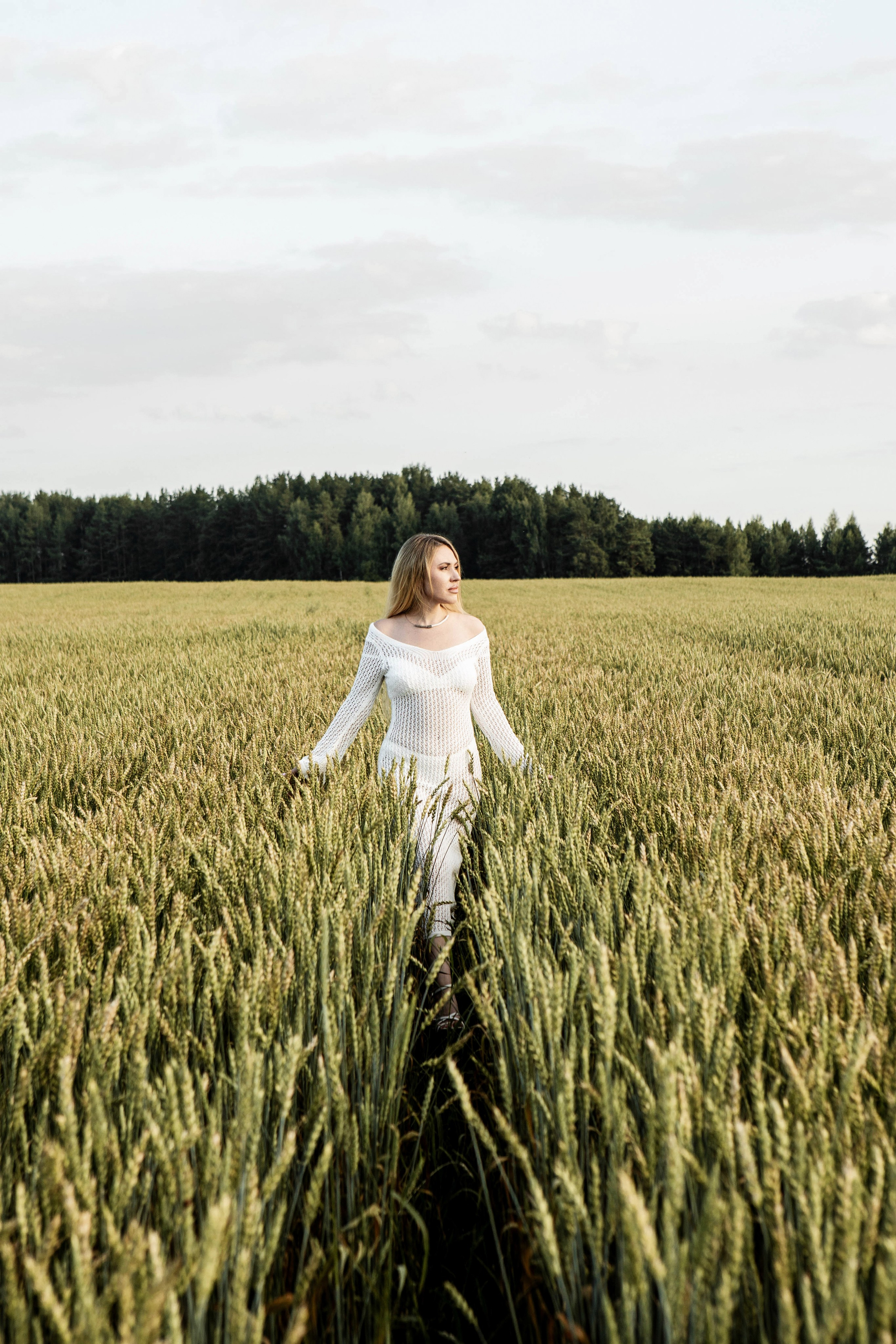 Ромашки. Фотограф Екатерина Голицына