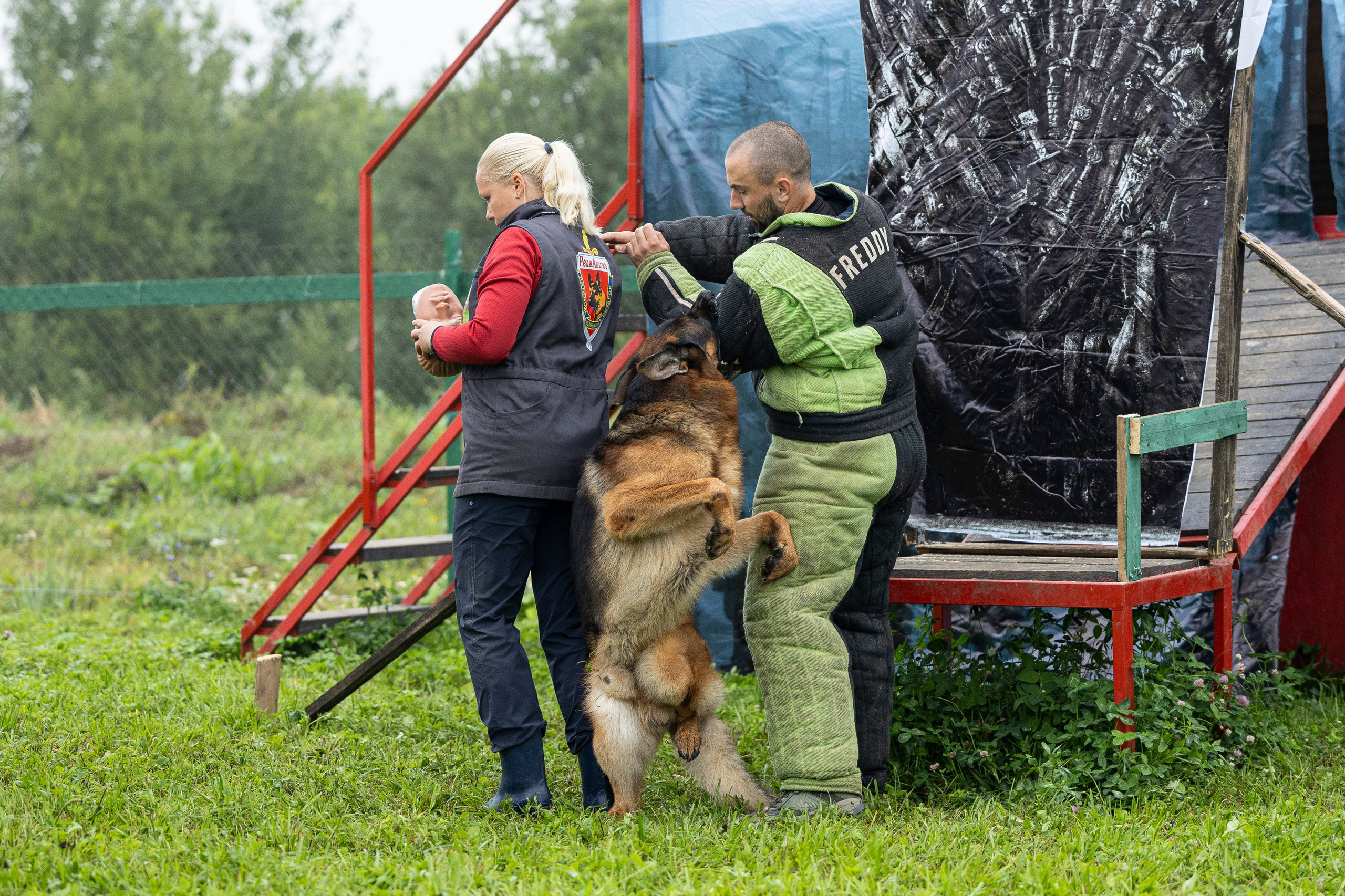 Соревнования по Мондьорингу г. Вологда 10-11.08.2024. Фотограф-анималист Анна Маринич