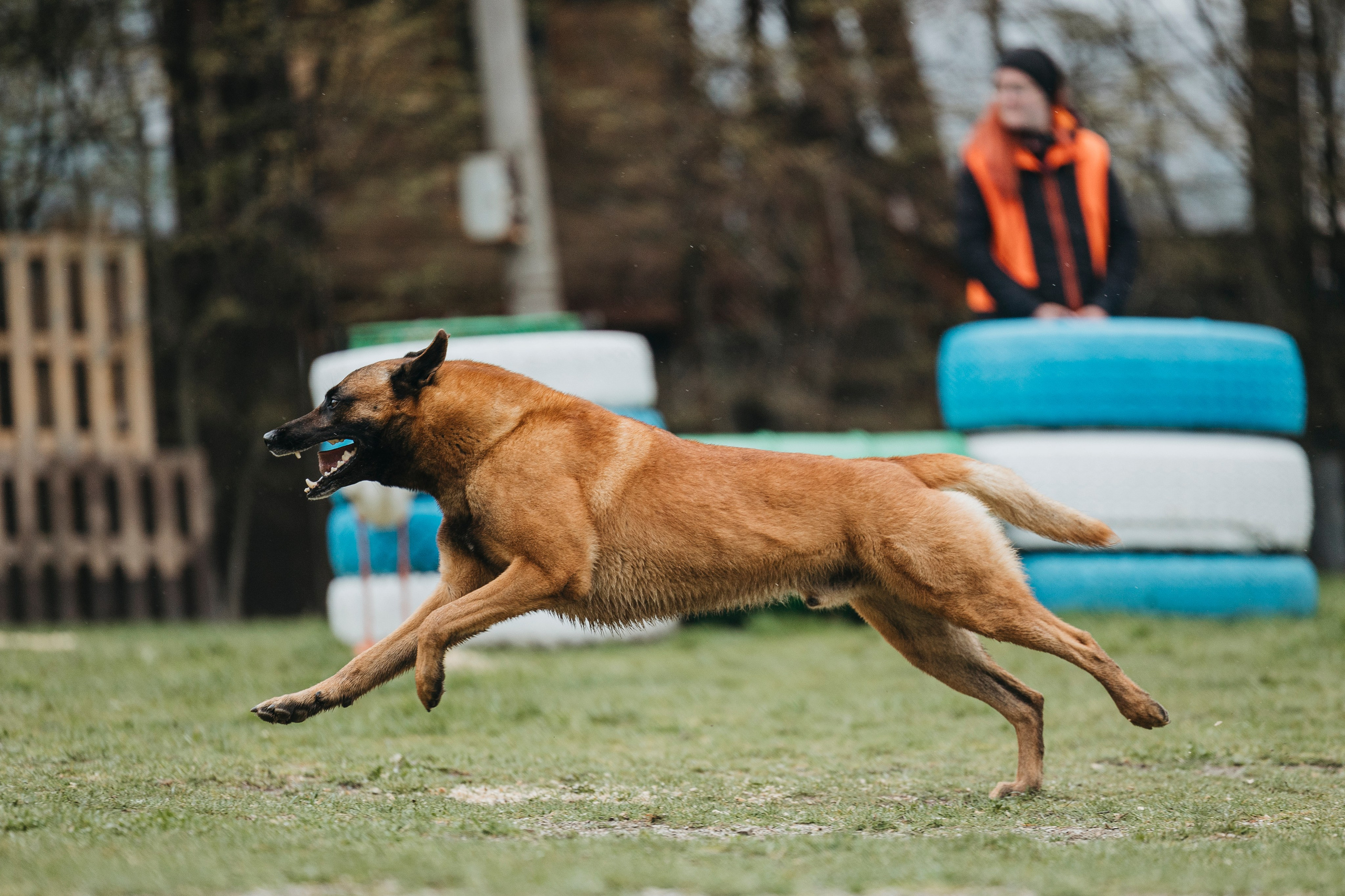 Геленджик Мондьоринг. Фотограф-анималист Анна Маринич