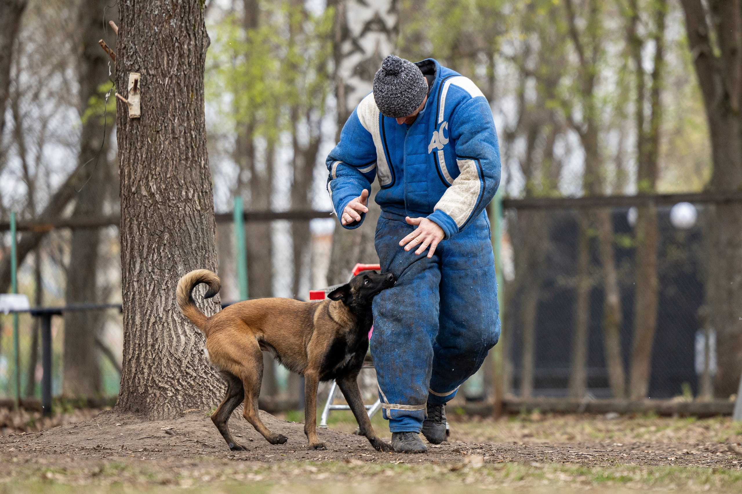 Квалификационные состязания по мондьорингу г. Вологда 11.05.24. Фотограф-анималист Анна Маринич