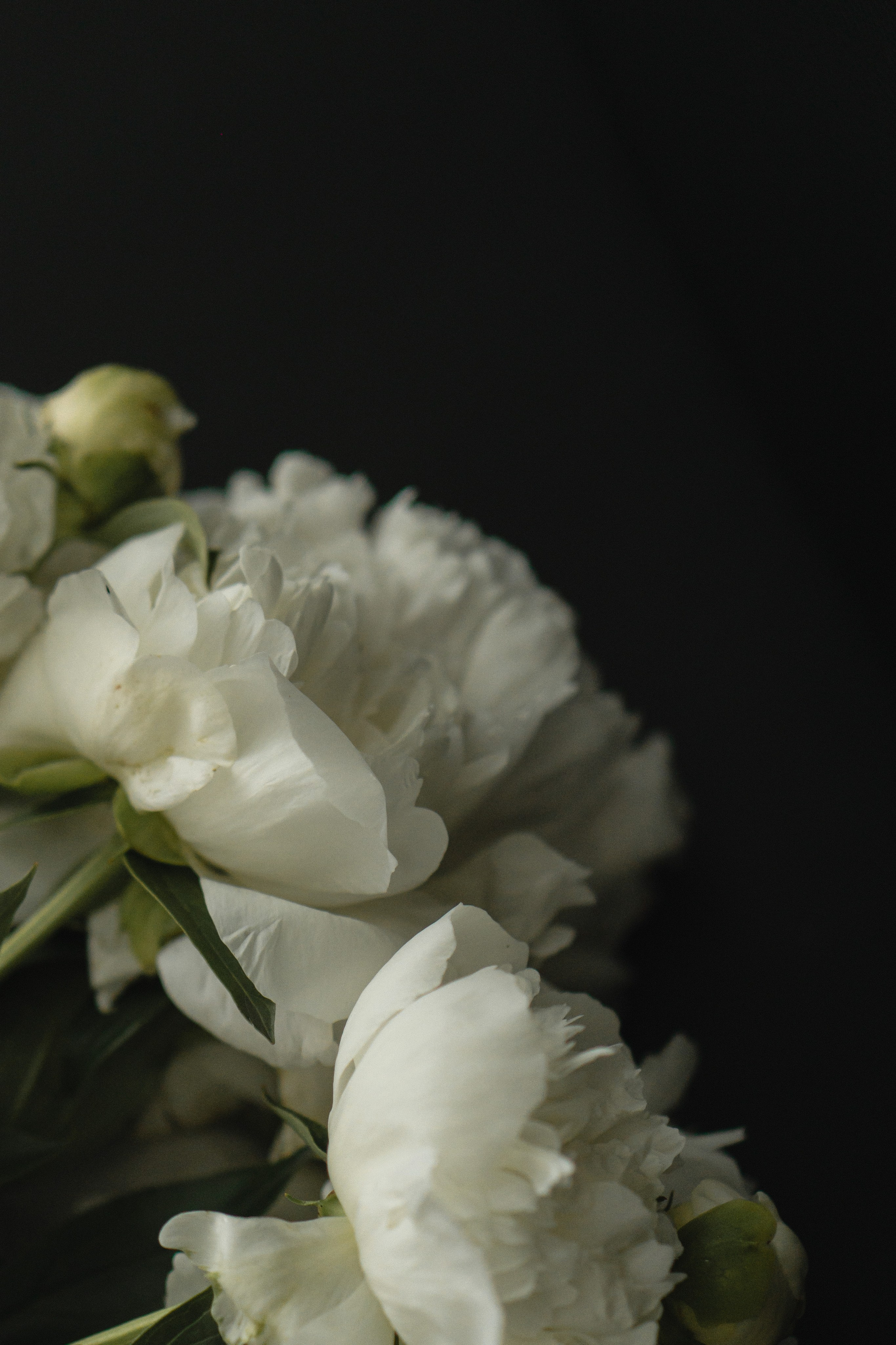 Воздух. Профессиональная видео и фото съёмка в Калуге и области