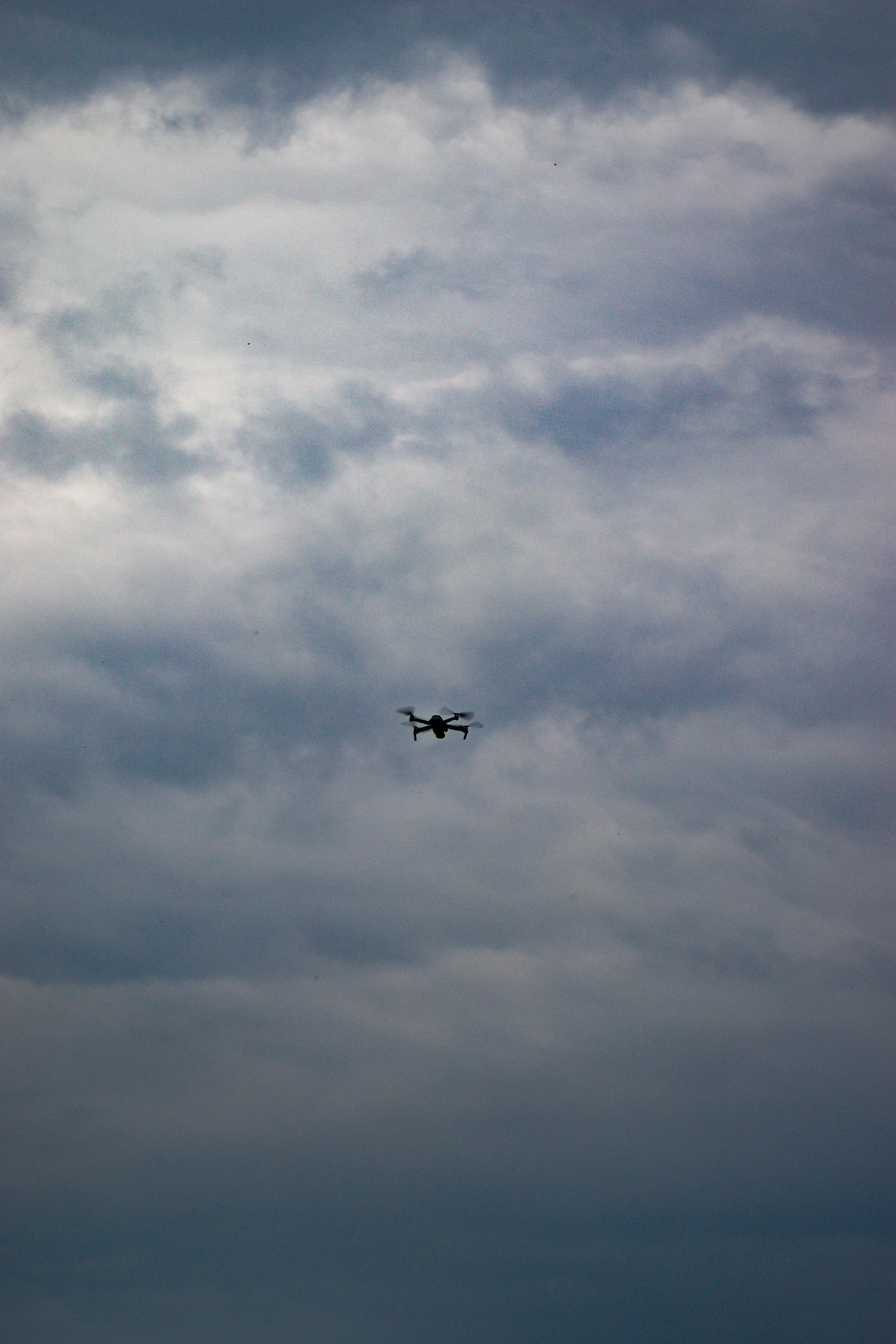 Никита П. (Полигон). — Digital Noise —