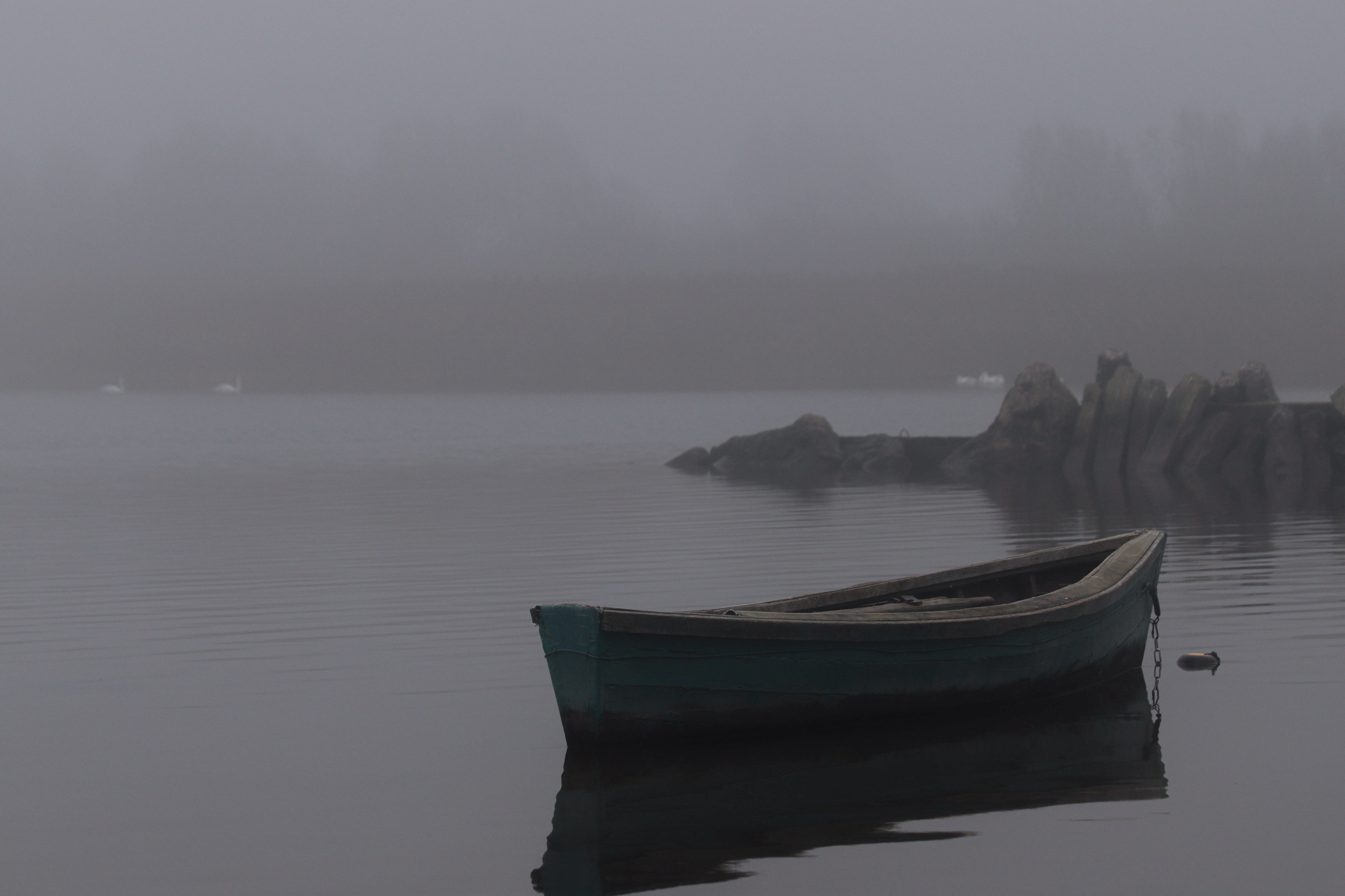 Т У М А Н. — Digital Noise —