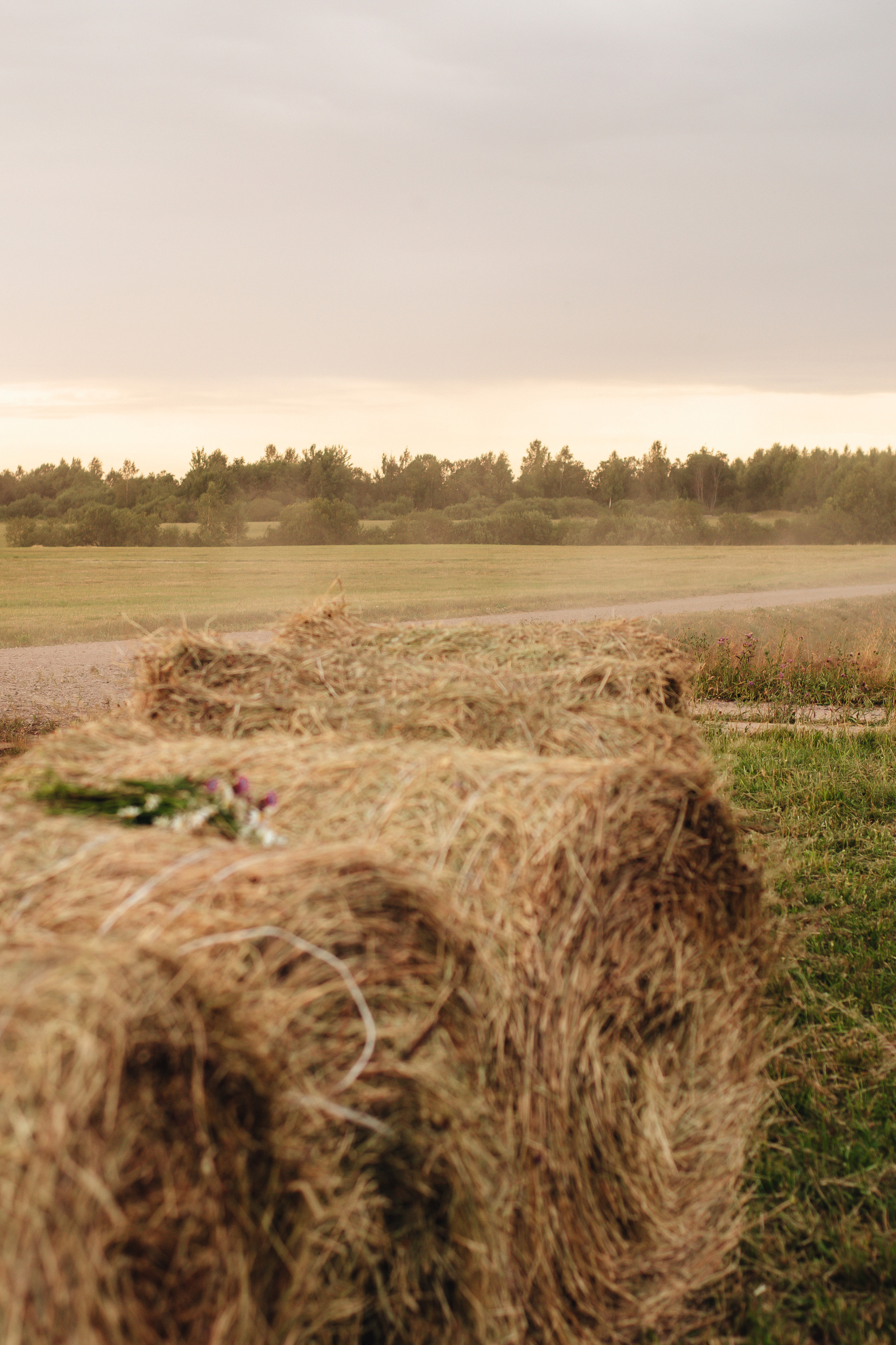 Екатерина. Ленинградская область. Фотограф Санкт-Петербург | Дарья Першина