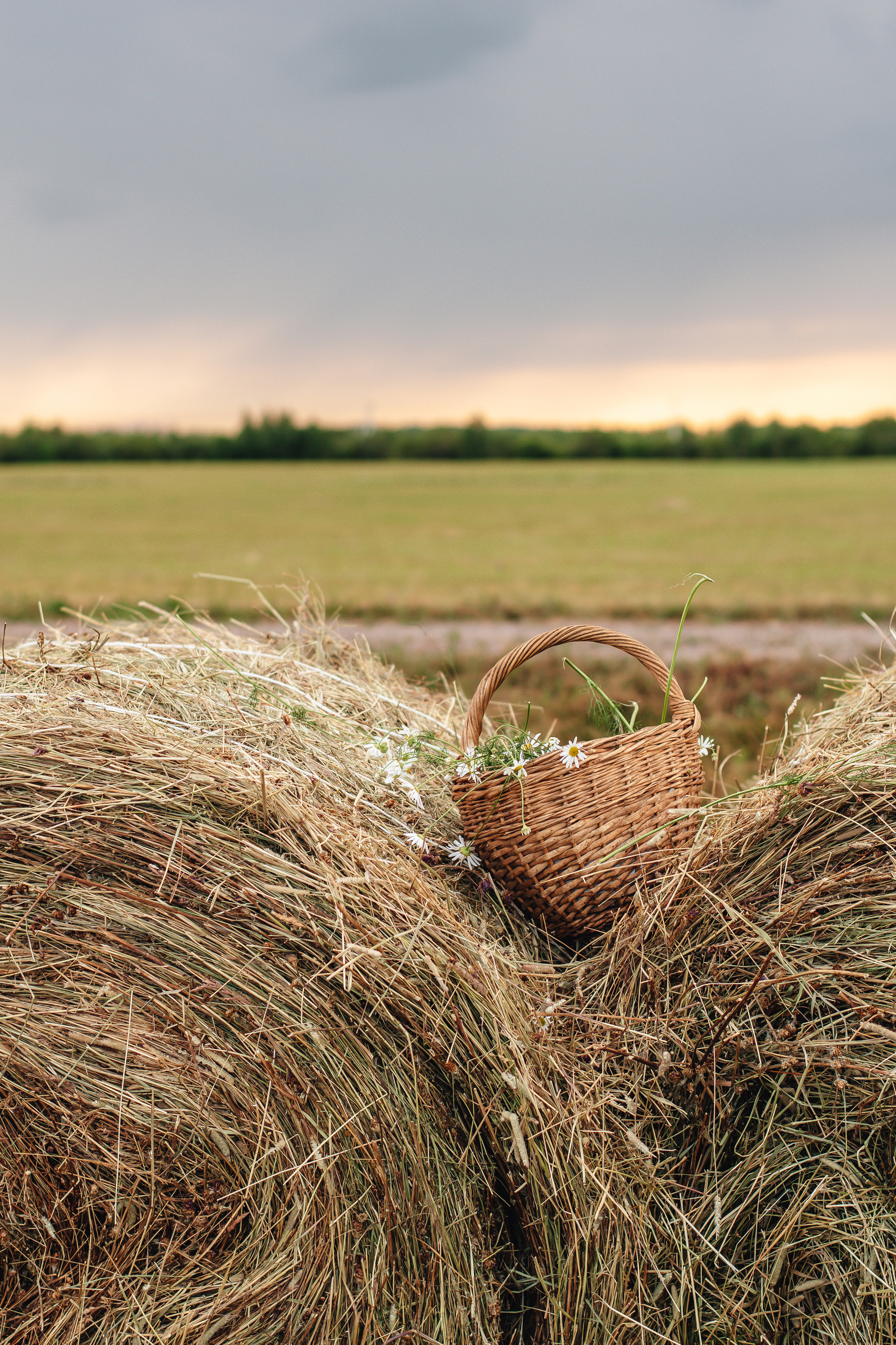 Екатерина. Ленинградская область. Фотограф Санкт-Петербург | Дарья Першина