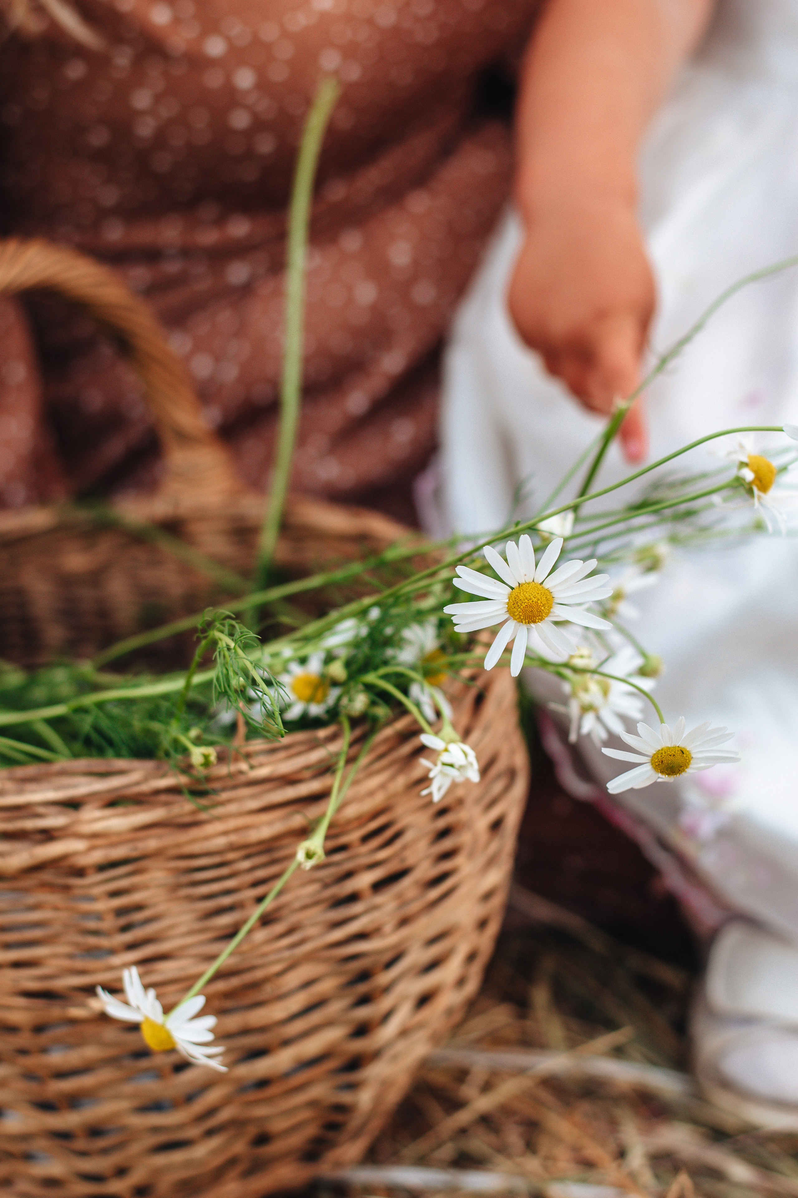 Катя и Ева. Фотограф Санкт-Петербург | Дарья Першина
