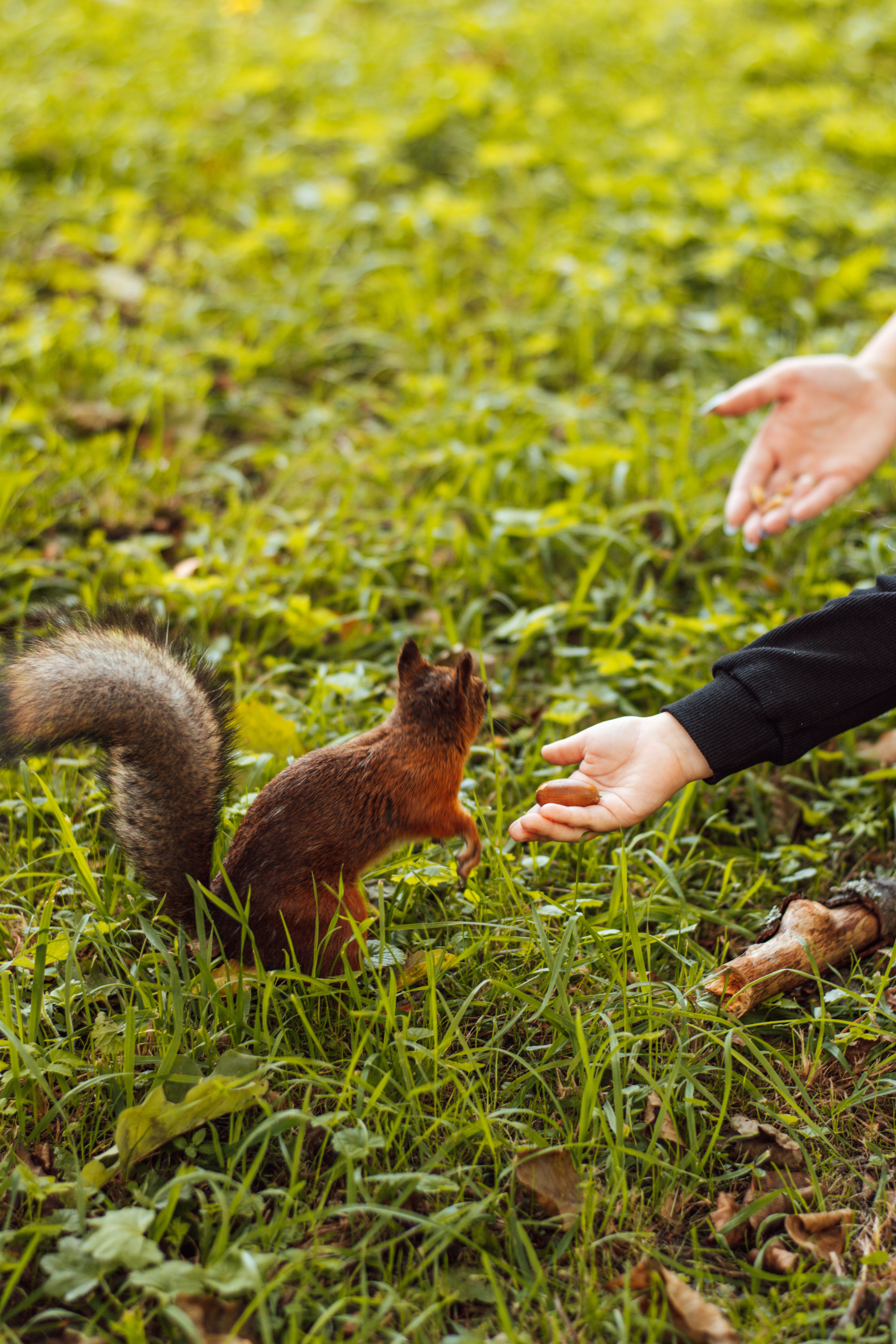 Ксюша и Кира. Фотограф Санкт-Петербург | Дарья Першина