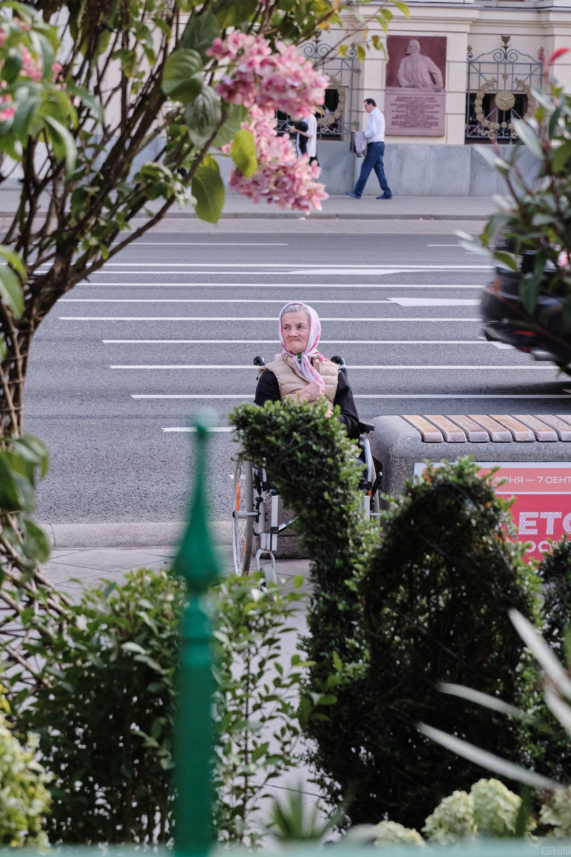 Бульвары для всех l Лето в Москве. Фотографъ Сергѣевъ. Поймать мгновеніе
