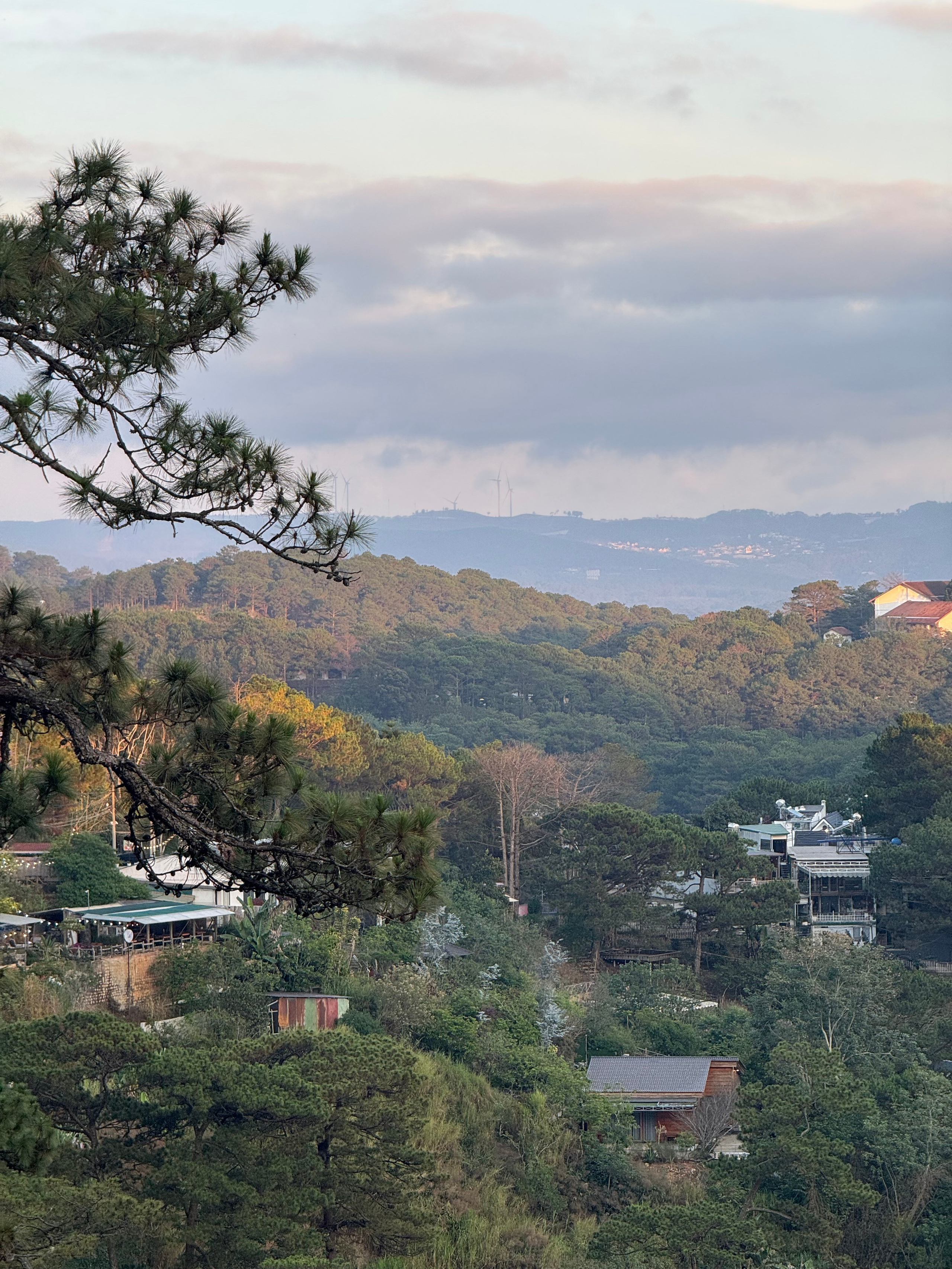 Вьетнам.Далат 2025. А вот и да!