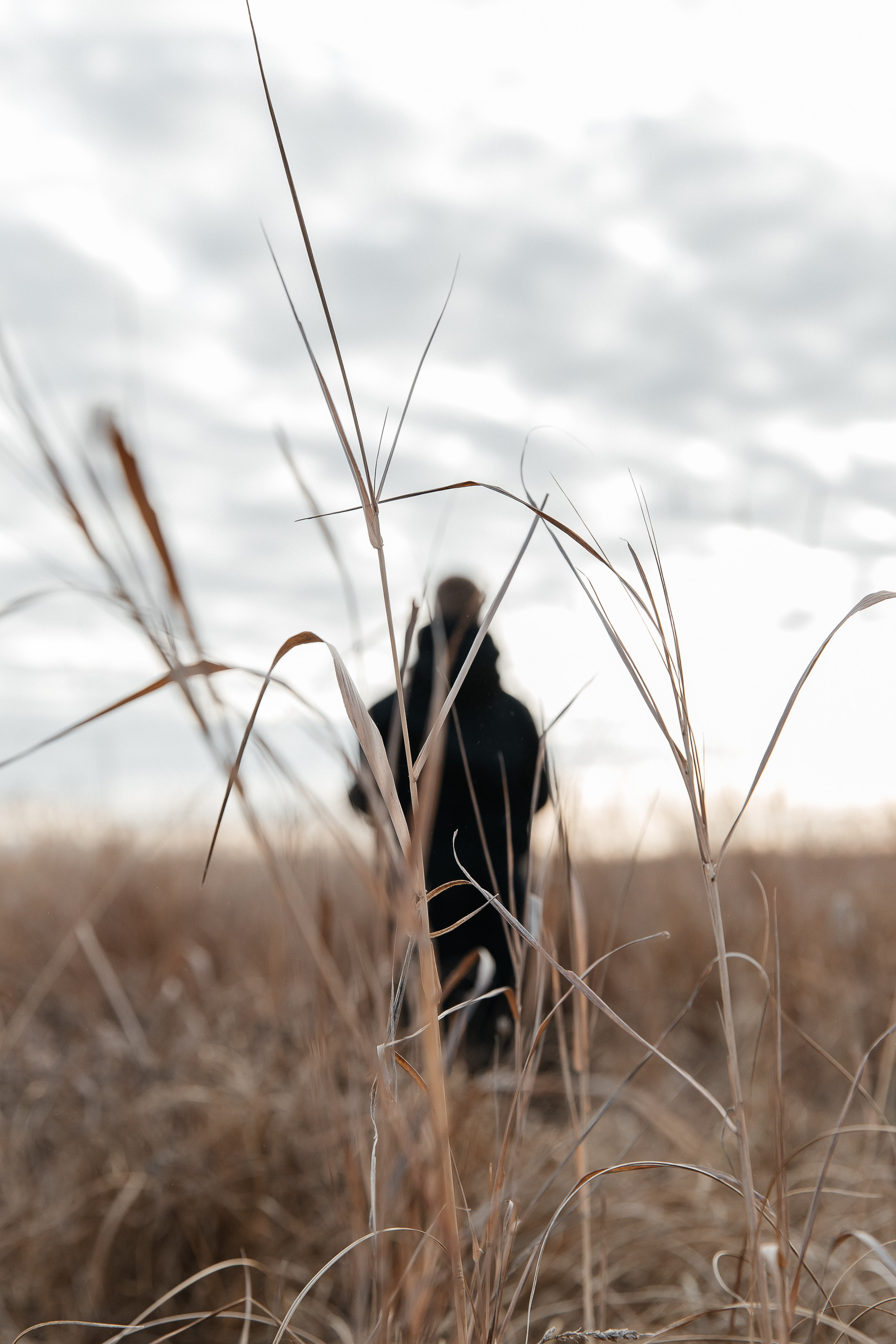 Родины. Воронистая Анастасия. Фотограф Якутия, Томпонский район