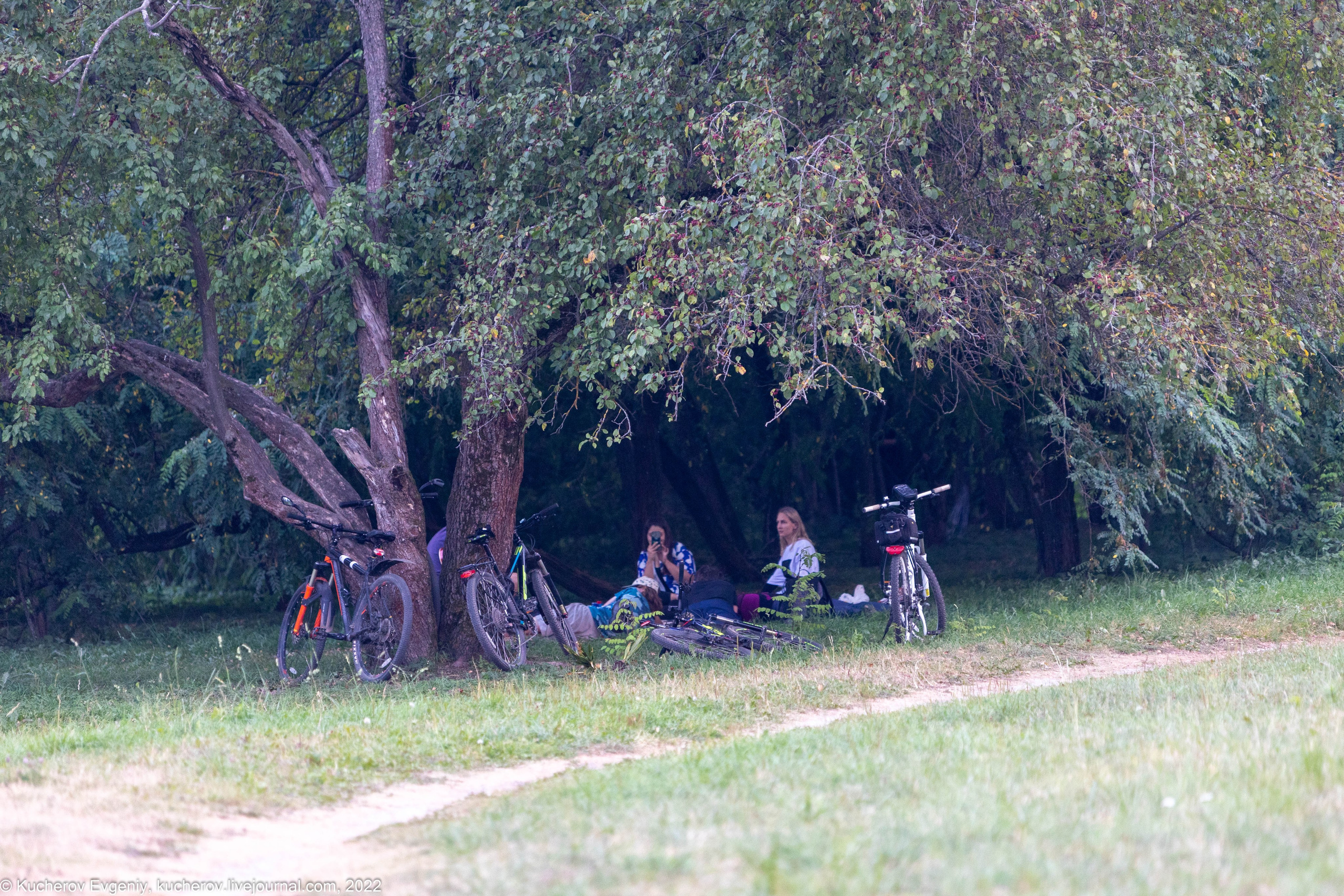 ВДНХ. Репортажка. Кучеров Евгений. Фотограф