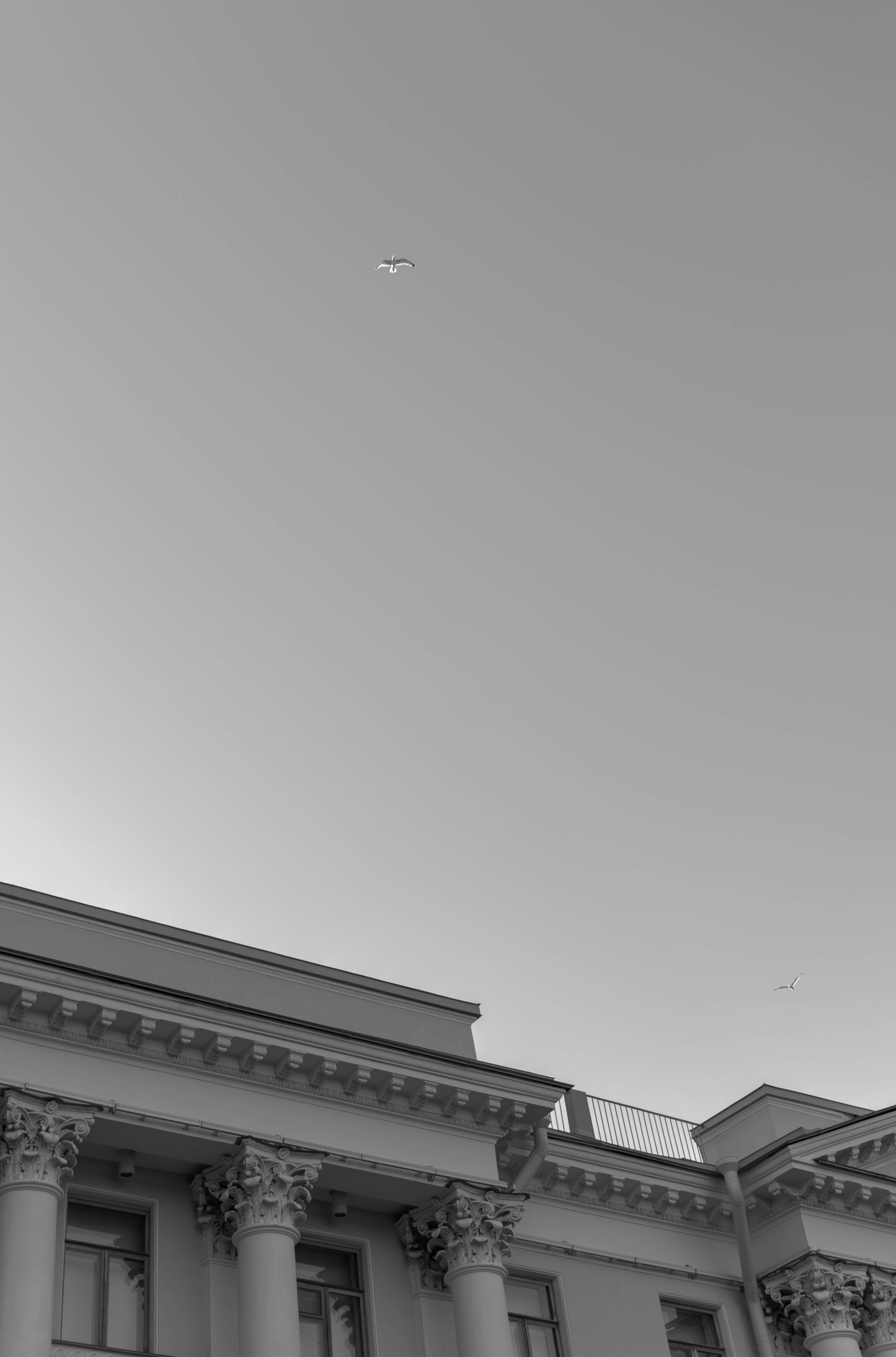 Свадебная фотосессия в Санкт-Петербурге. Свадебный фотограф в Краснодаре и Санкт-Петербурге Евгения Алексеева