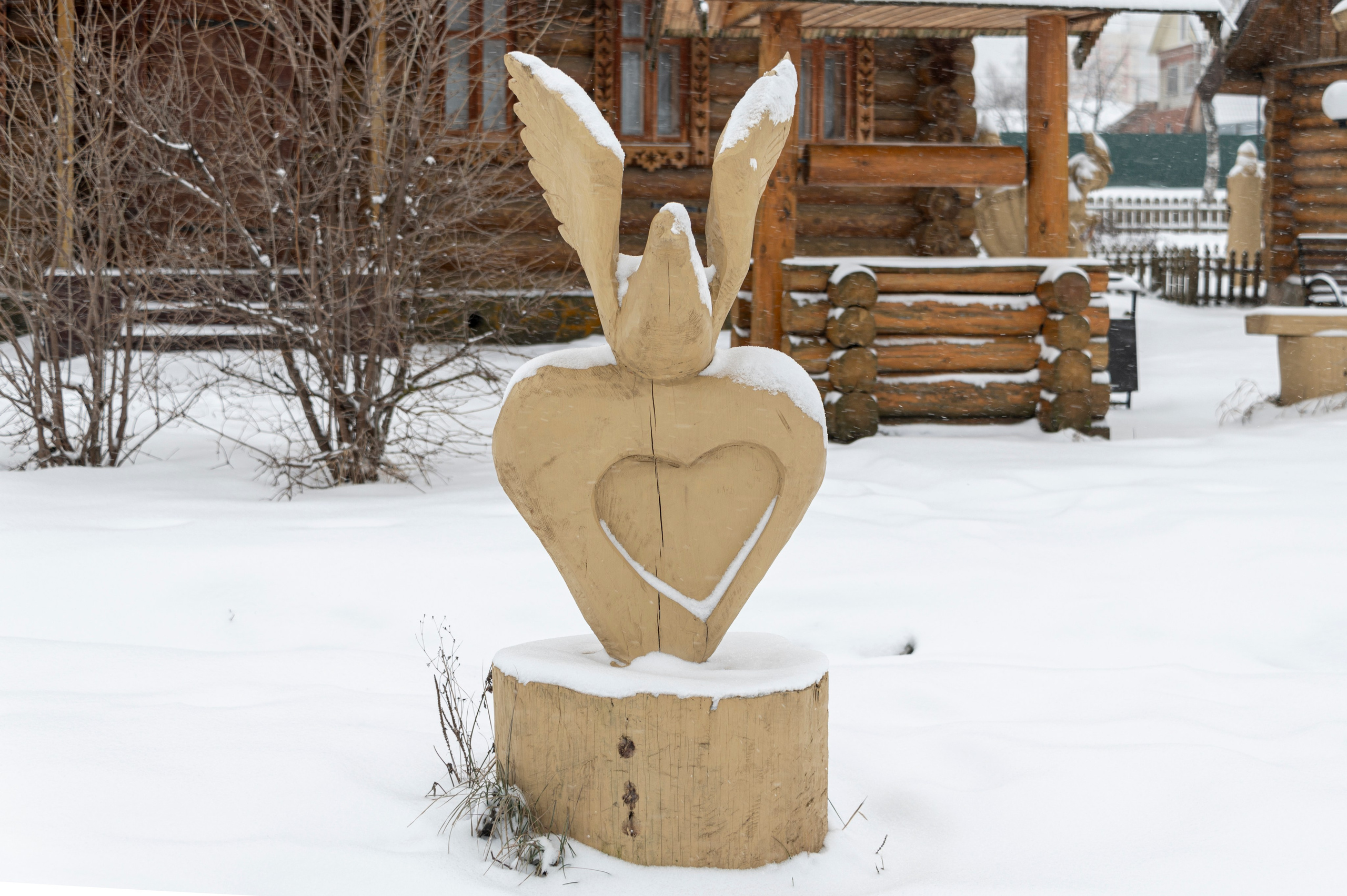 Саранск. Январь 2024. Фотограф Роман Адлер