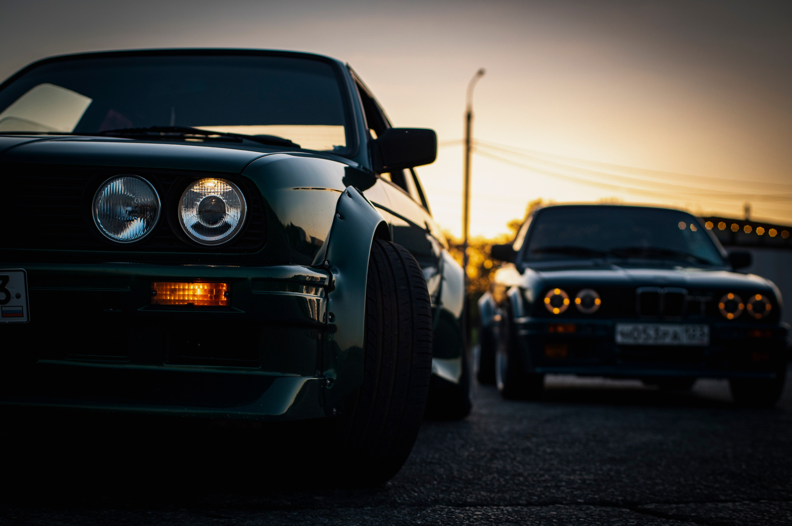 БМВ & Доберман. Фотограф Роман Адлер