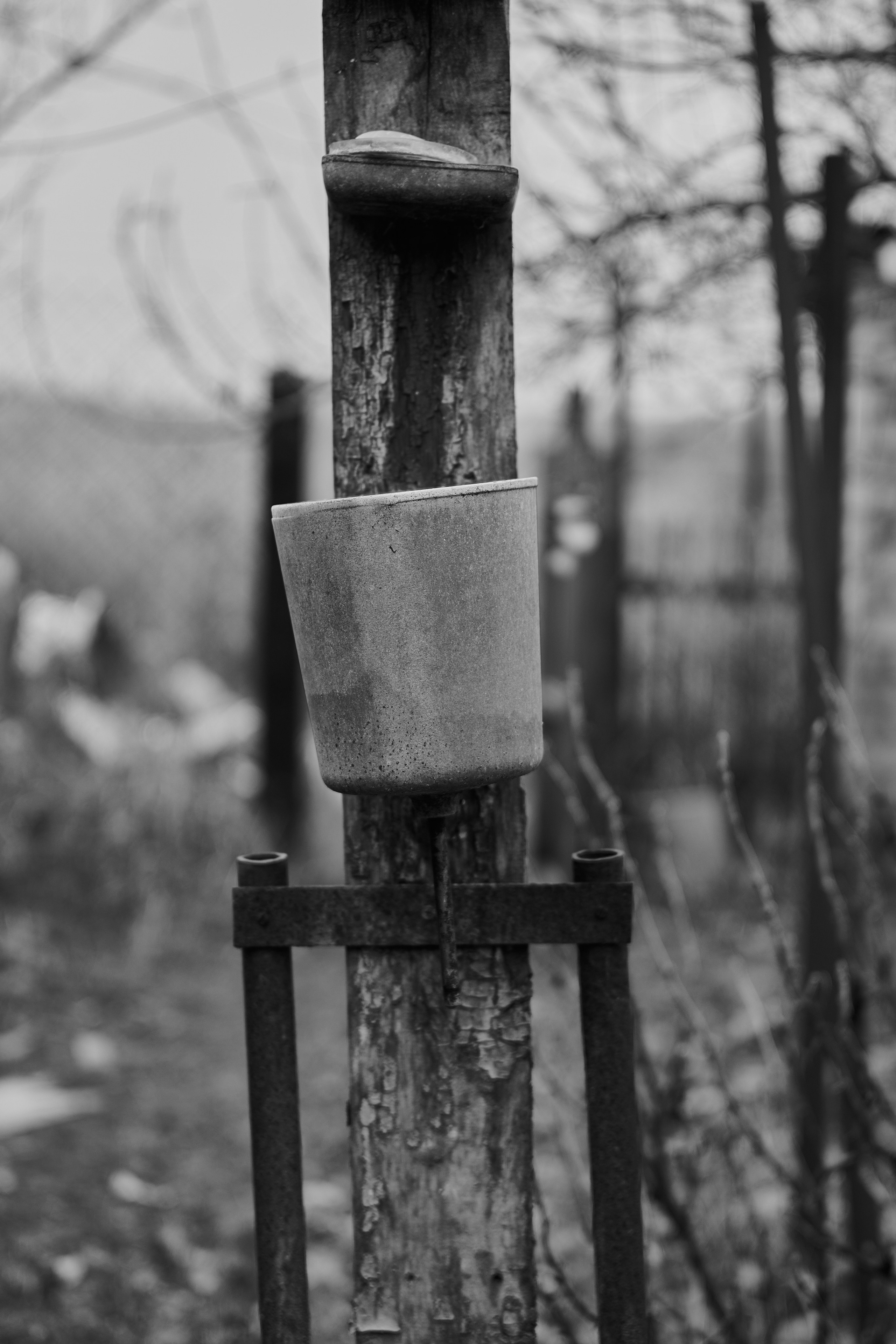 Краснореченское (Луганская область). Ноябрь 2024. Фотограф Роман Адлер