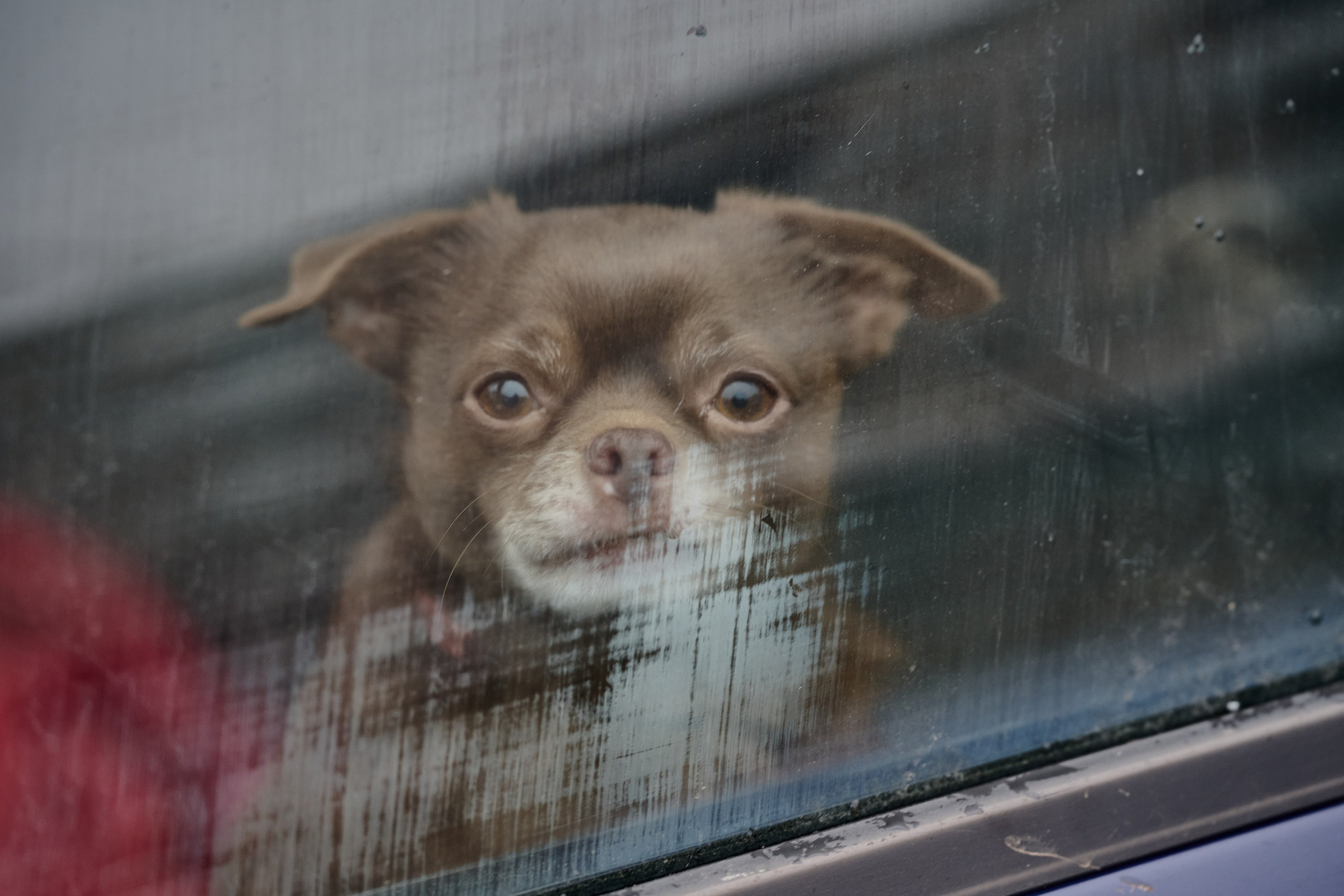 Северодонецк (Луганская область). Декабрь 2024. Фотограф Роман Адлер
