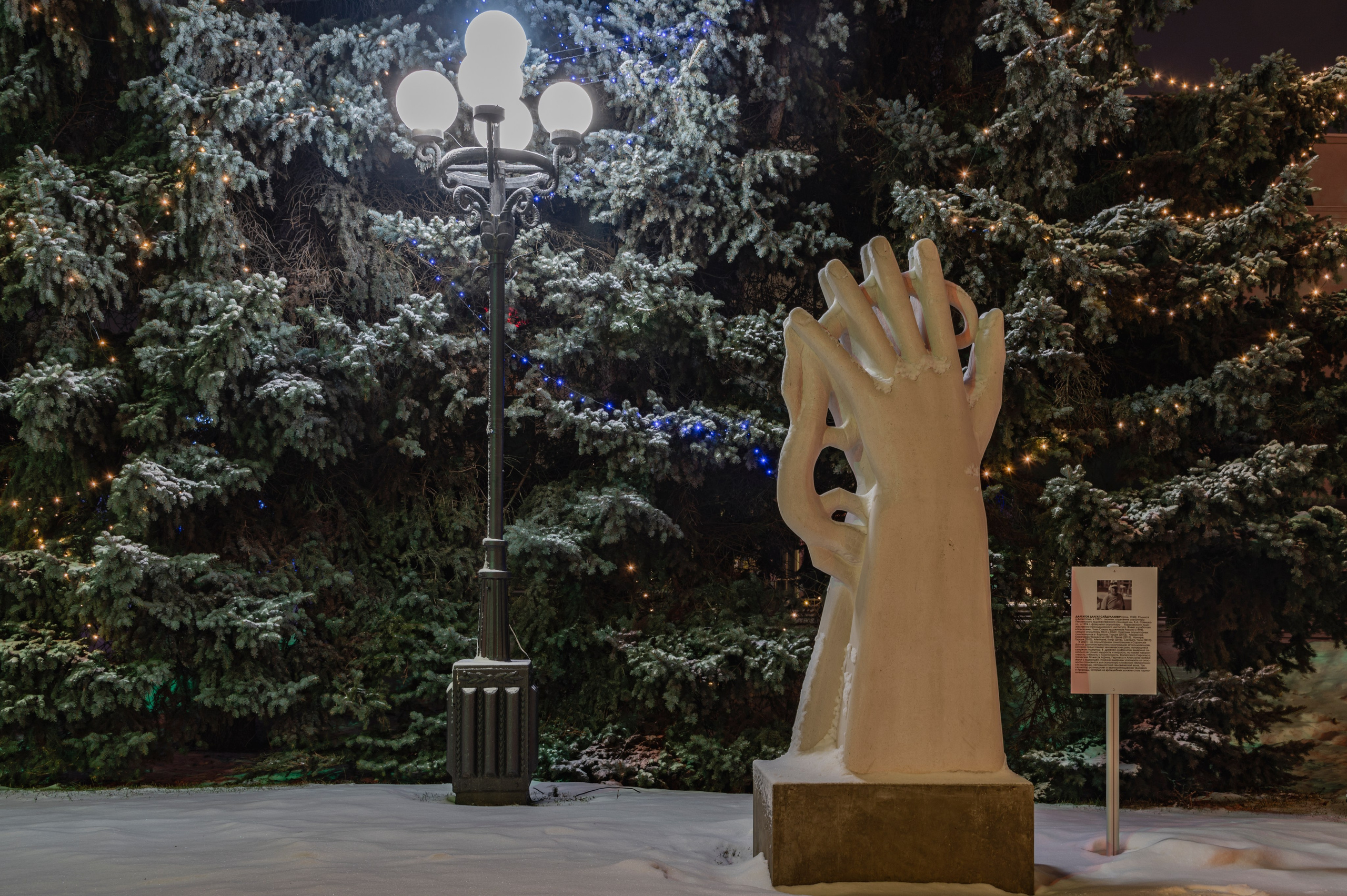 Саранск. Январь 2024. Фотограф Роман Адлер