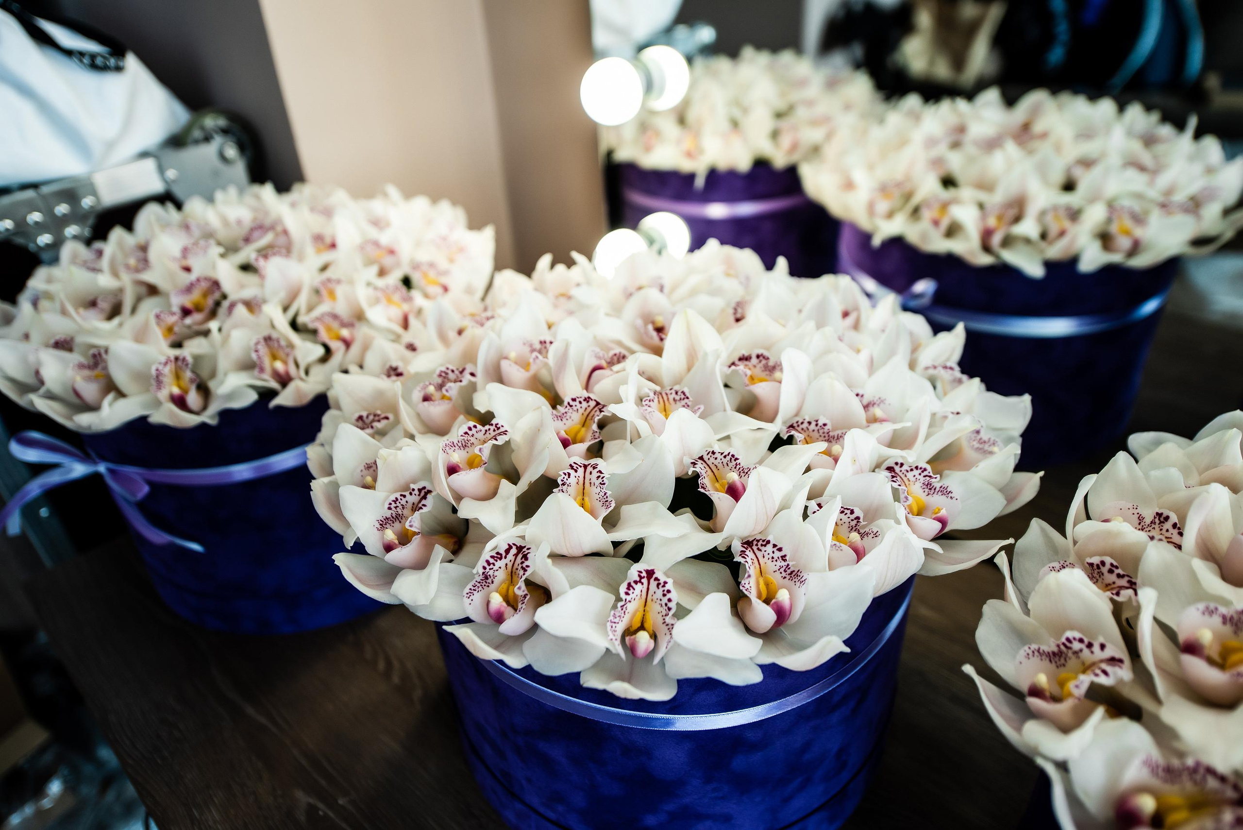 Конференция «Навита» (г. Санкт-Петербург). Свадебный и семейный фотограф Луганск, Ростов, Краснодар Роман Мацнев