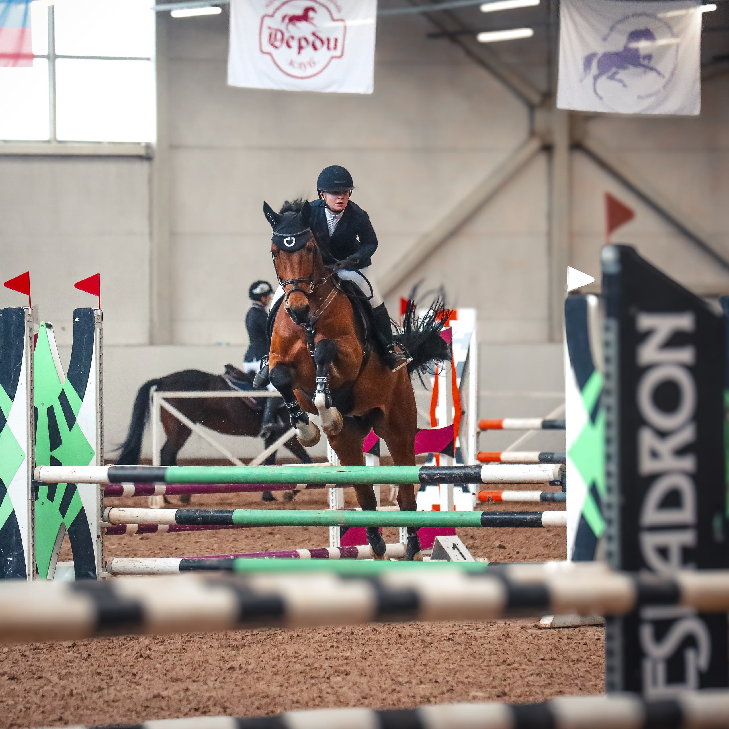 Лошади Евы Демидовой. Ева Демидова. Спортсмен по конкуру в Санкт-Петербуре