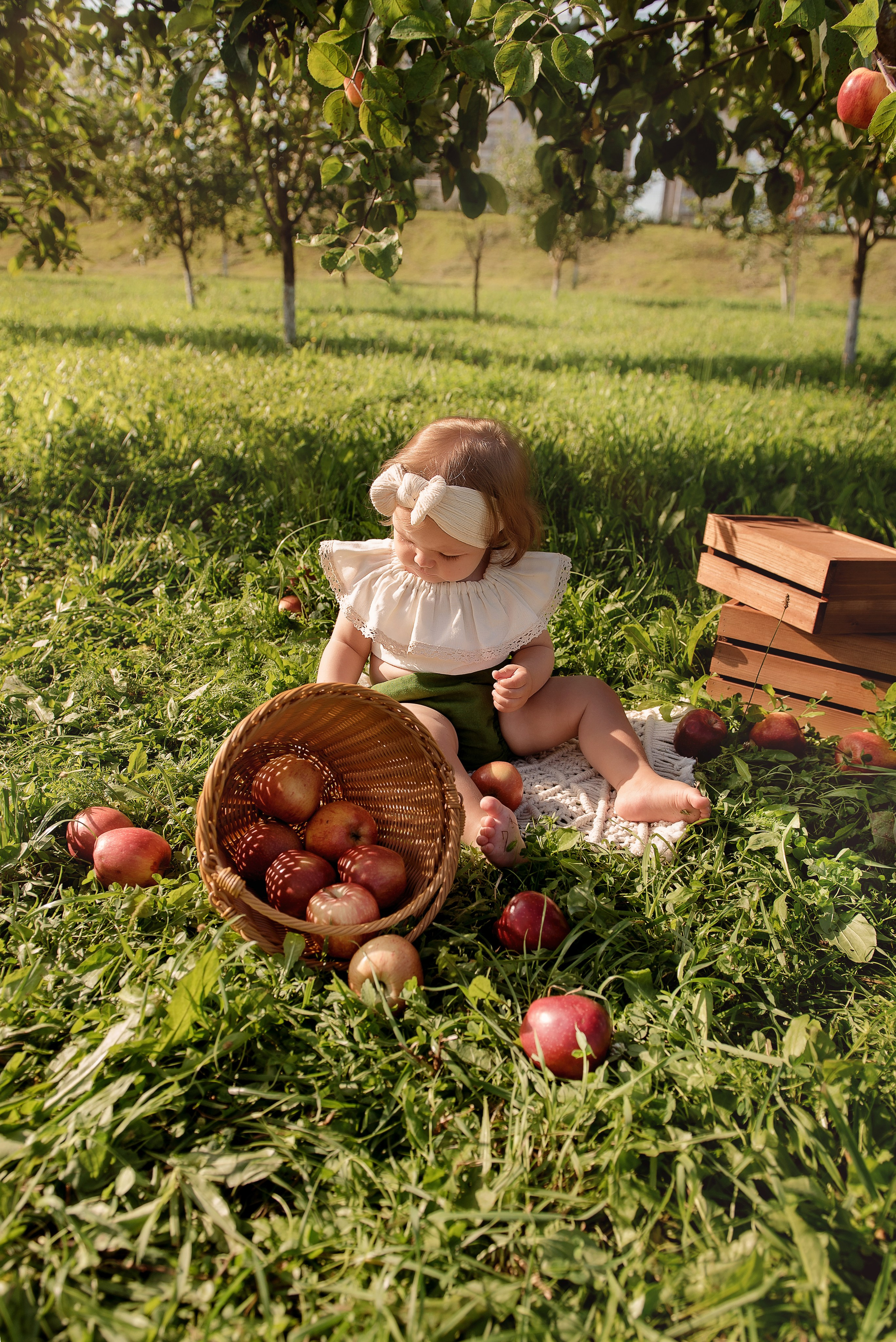 Яблоневый сад. Детский фотограф в Долгопрудном и Москве