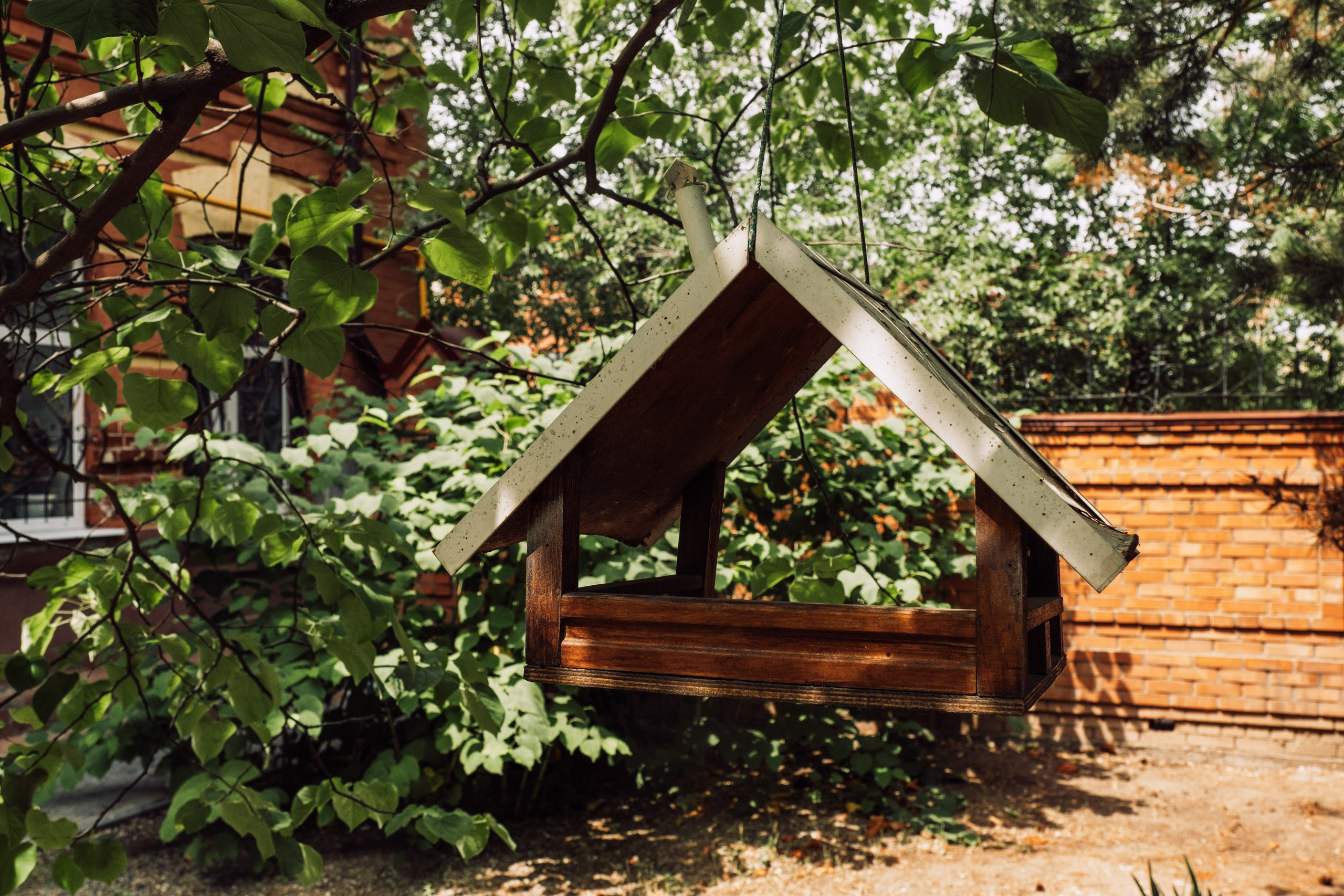 Иоанно-предтеченский монастырь. Фотограф Анатолий Деникин