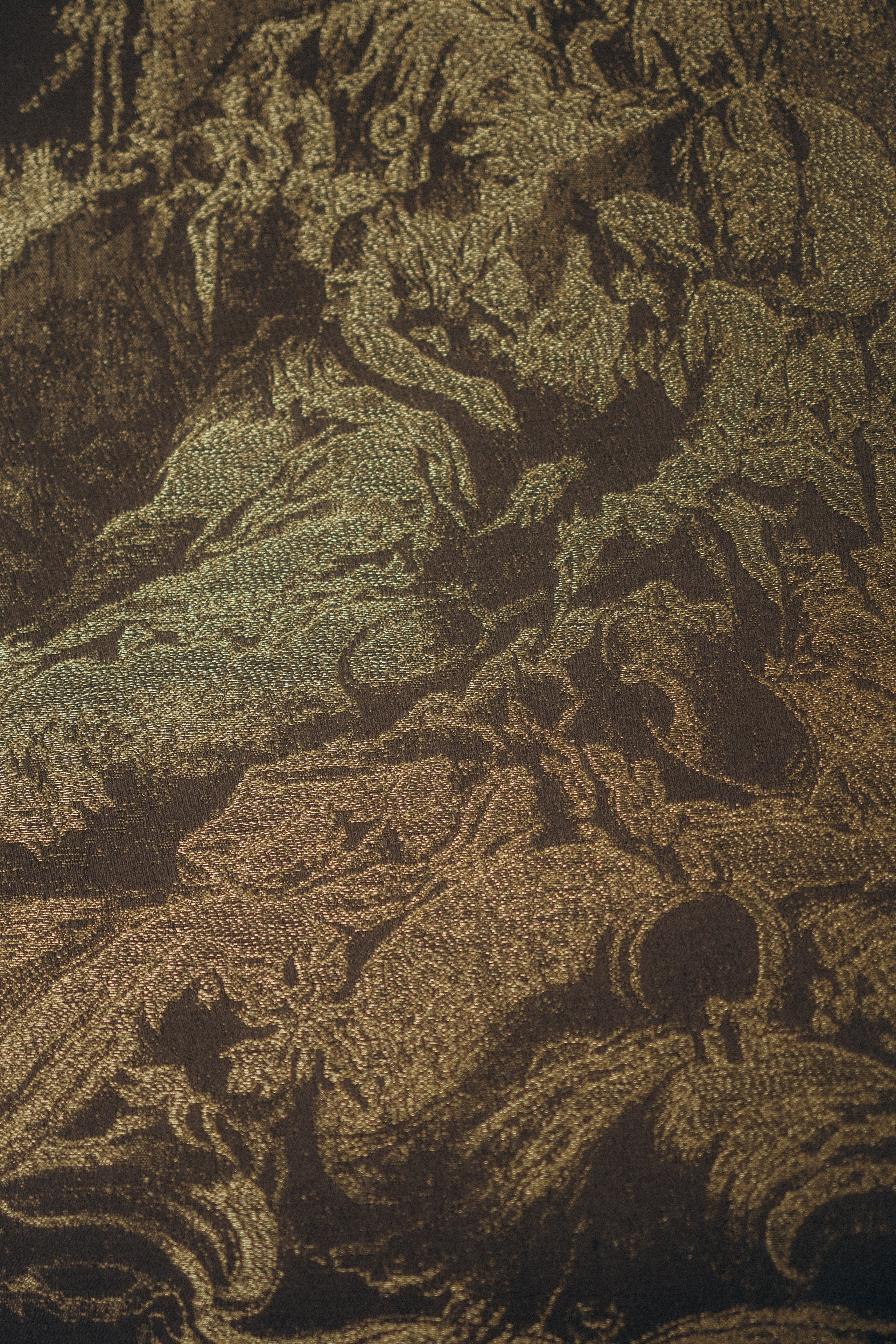 Тюльпаны. Главная