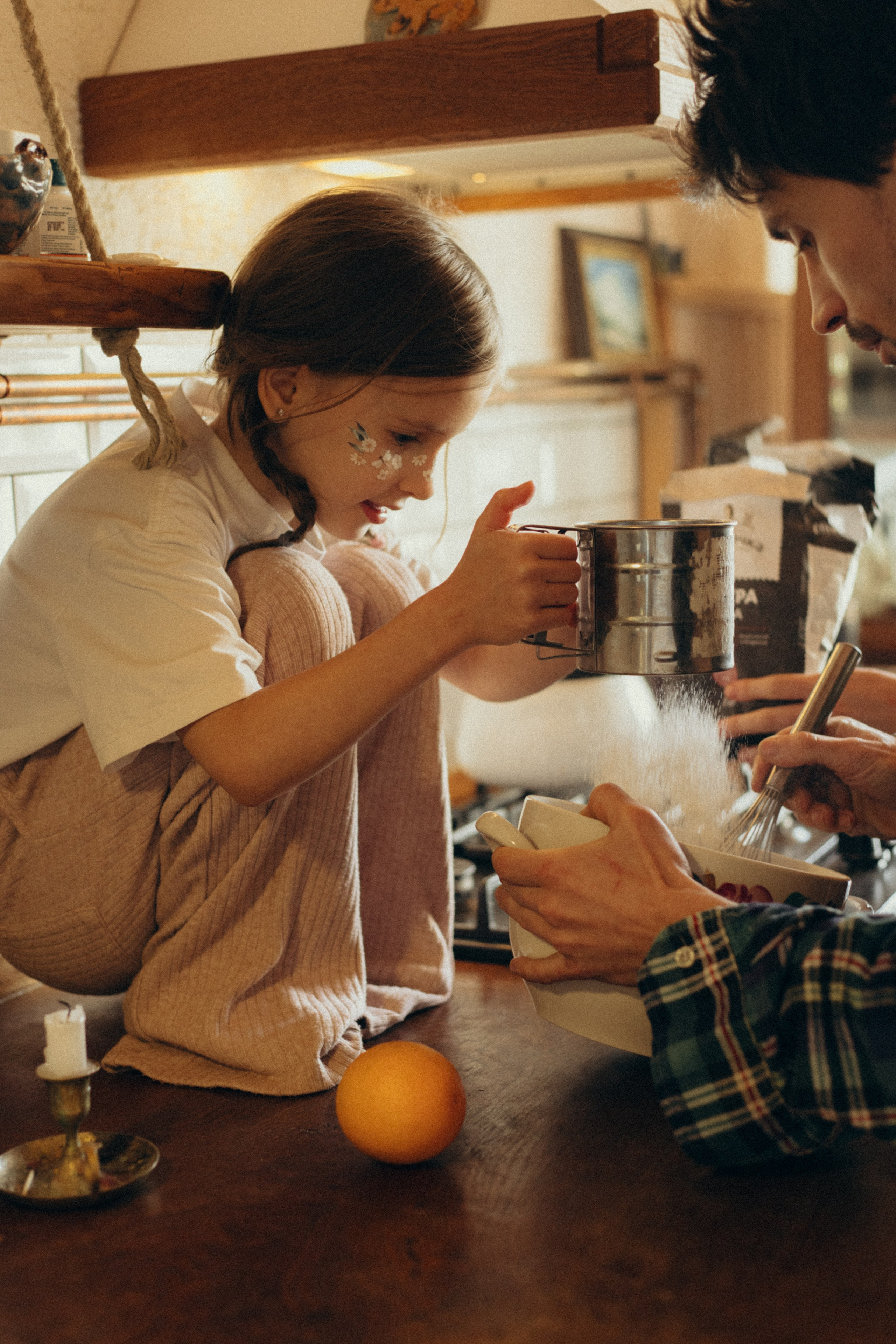 Домашняя история. Meryfotoidea