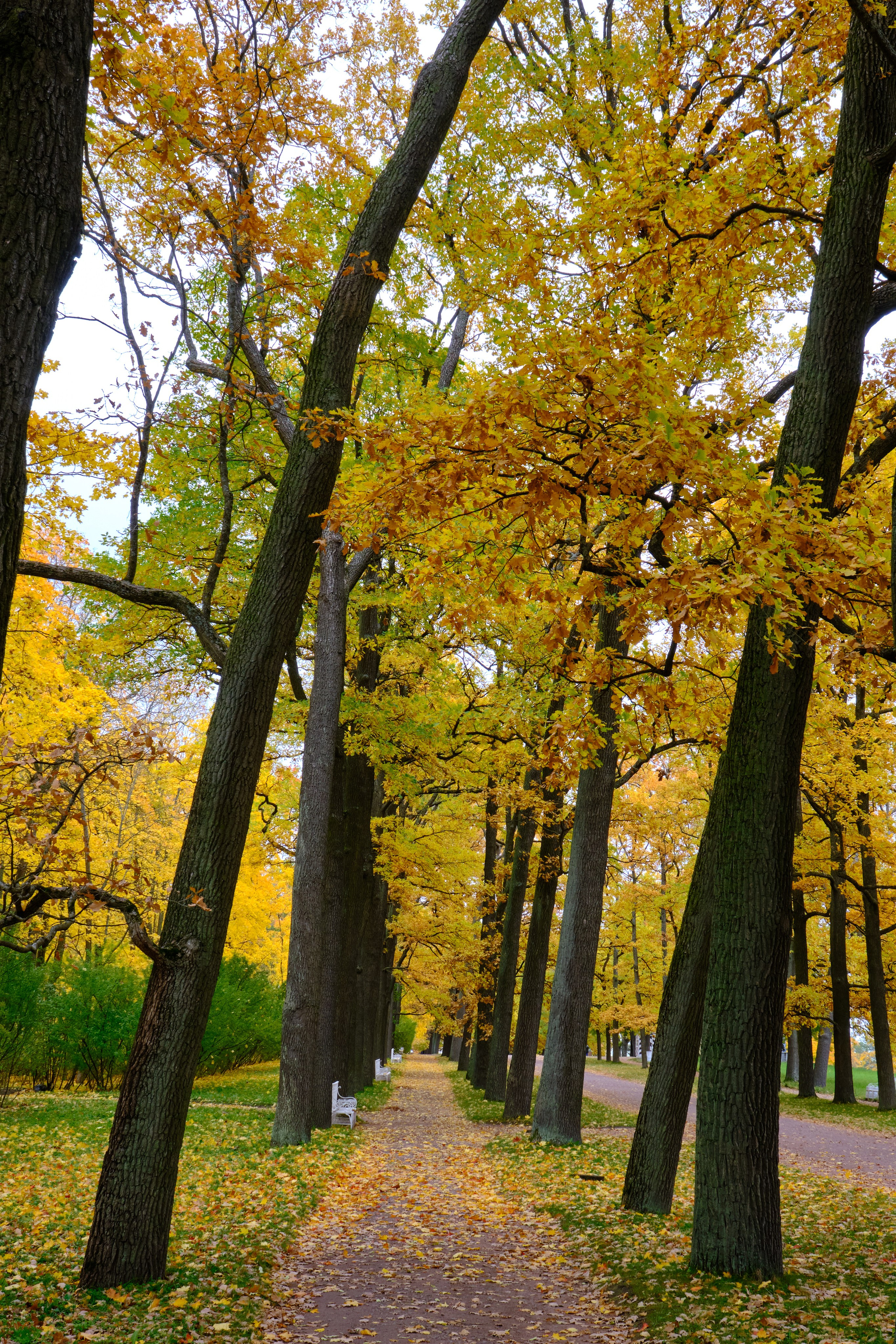 Времена года. Пейзажи Крайнего Севера. Баренцево море, Рыбачий, Средний, Немецкий