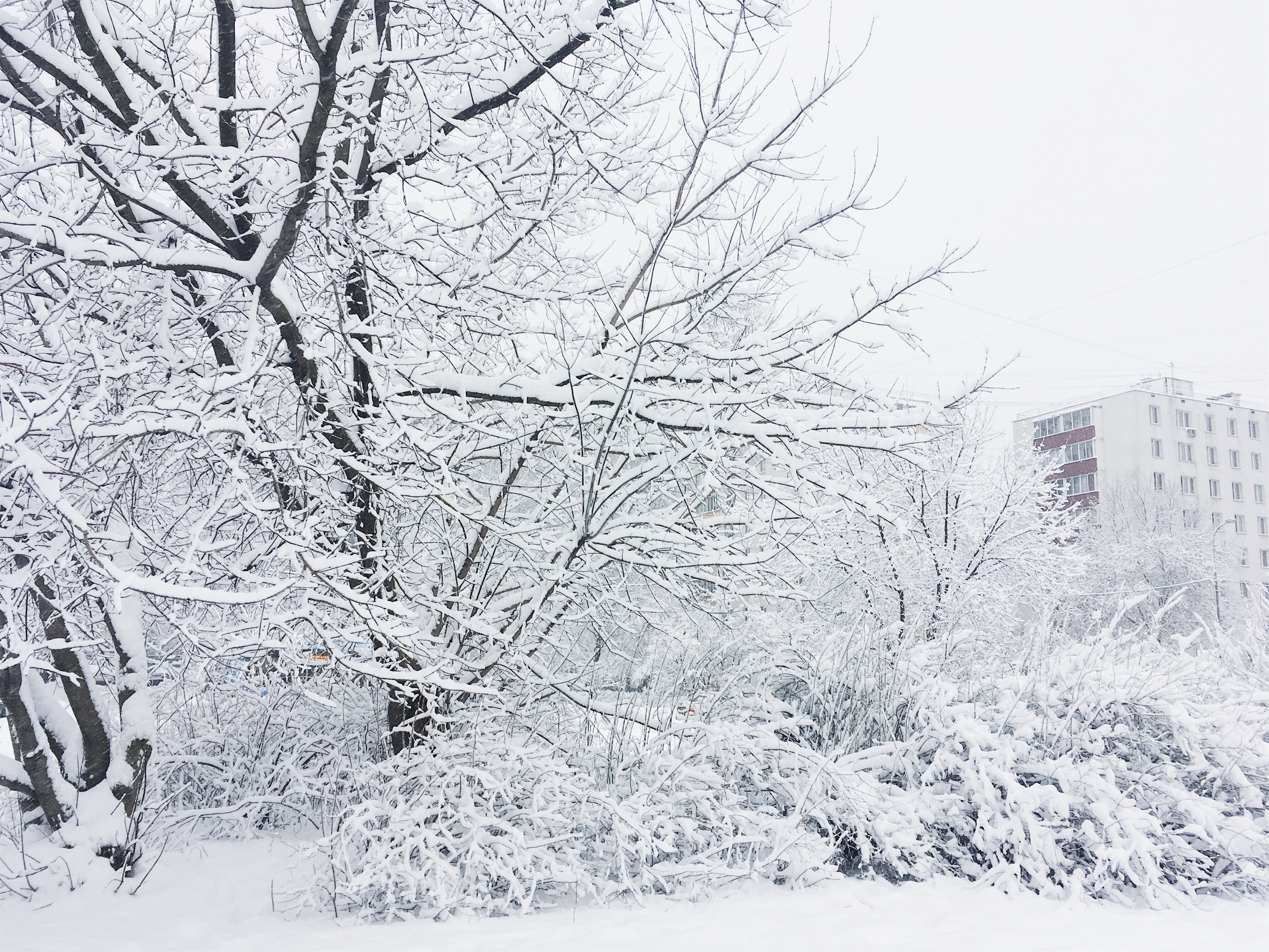 Визуальный дневник. Портретный фотограф в Москве Гахраманова Екатерина