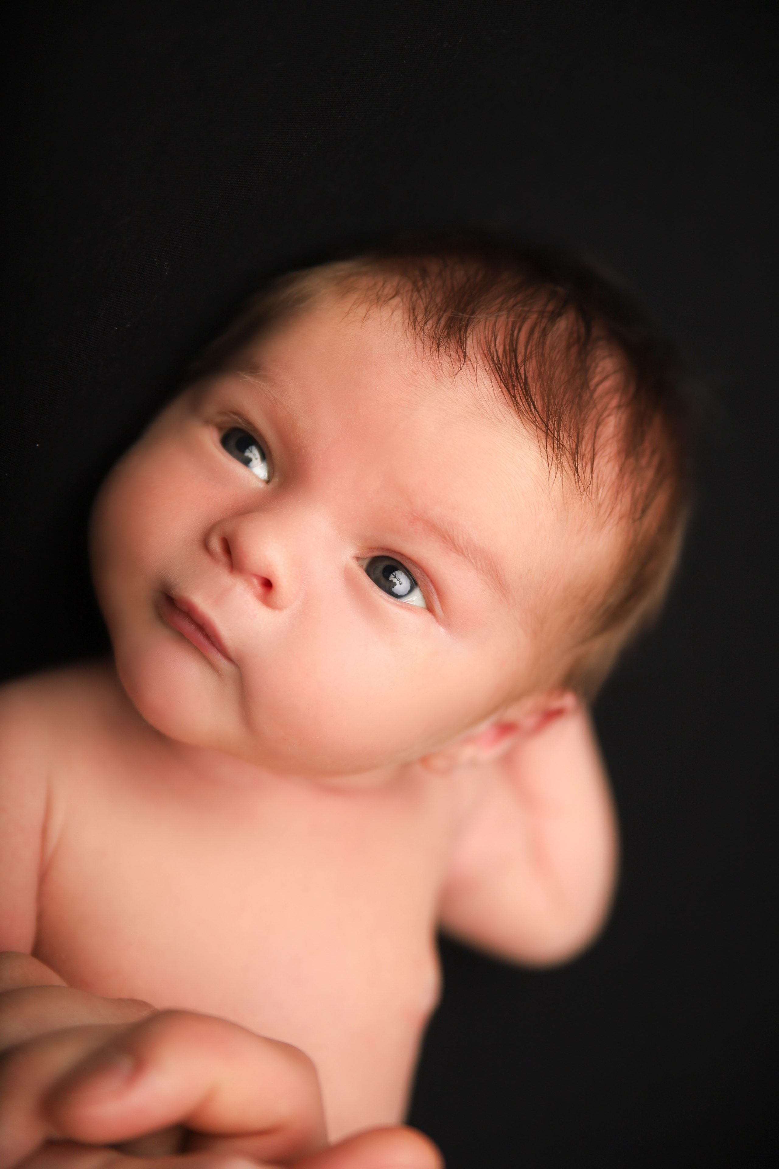 NEWBORN Мальчики. Фотограф новорожденных в Москве и области Мария Самсон