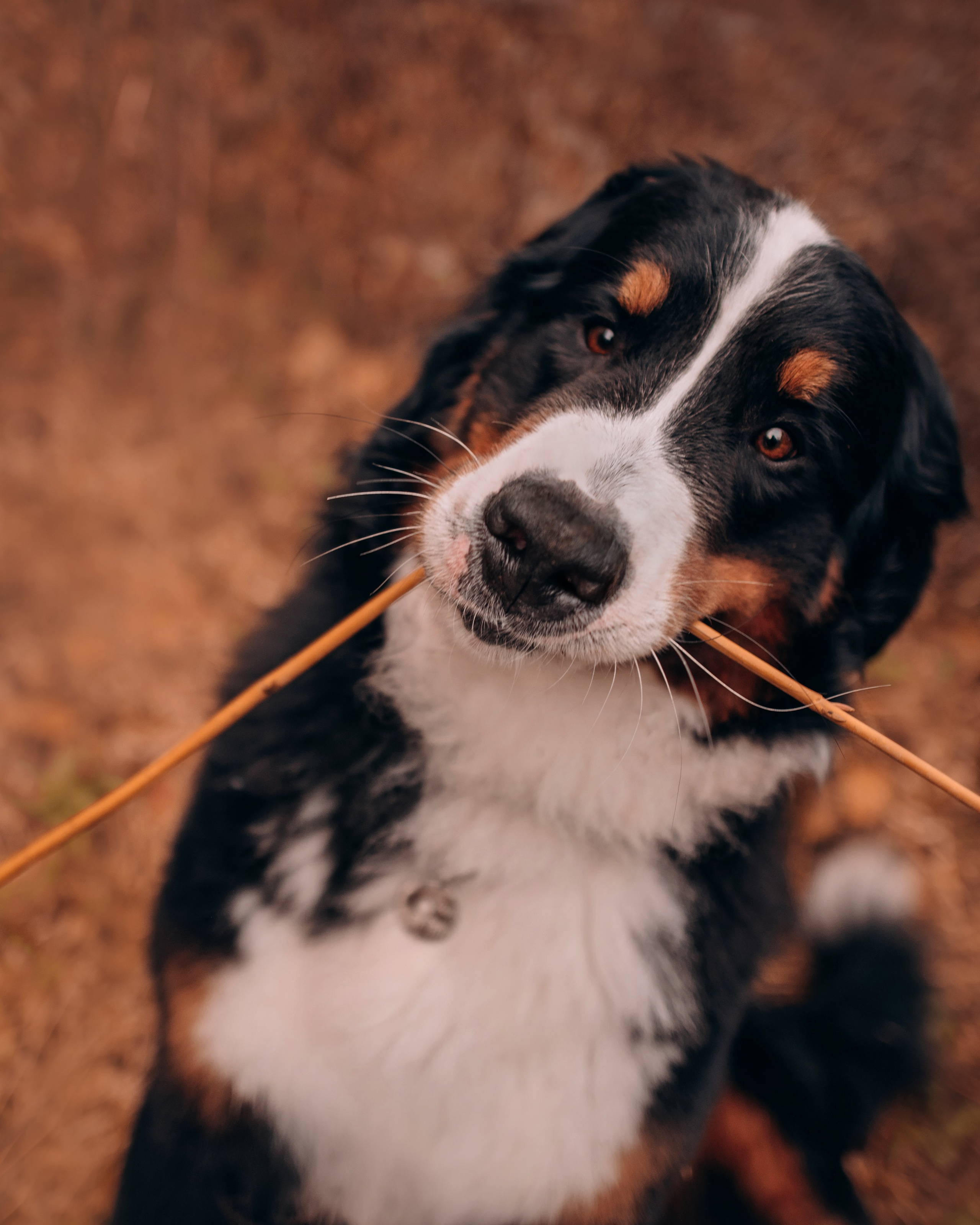 Владивосток: Марс и Маша. Портфолио