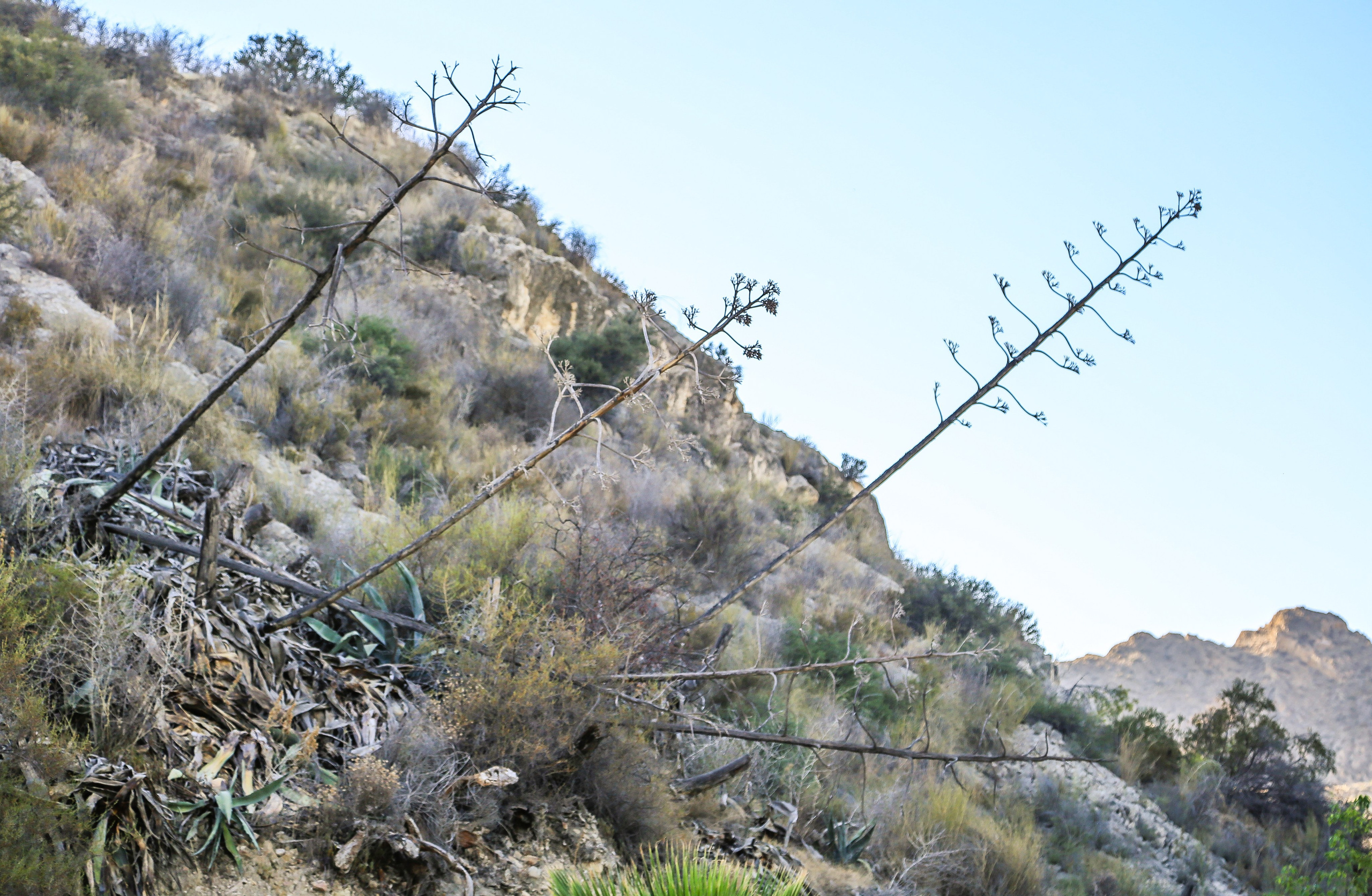Испания: Мурсия и Арчена — взгляд с дистанции. Дарья Письменюк / Darya Leitstern — фотограф, музыкант, журналист, путешественник
