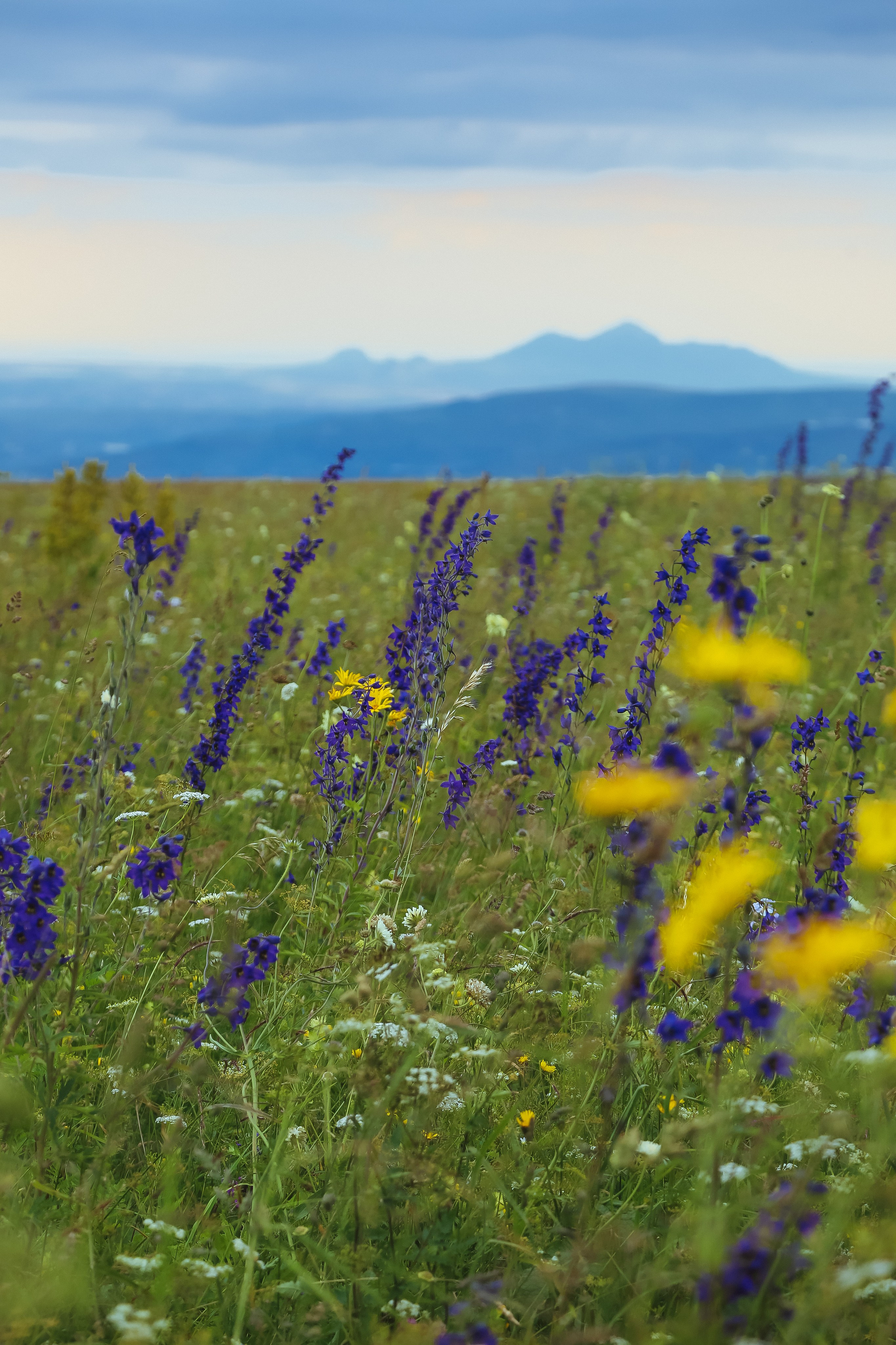 Кавказ: Беспощадный Бермамыт. Дарья Письменюк / Darya Leitstern — фотограф, музыкант, журналист, путешественник