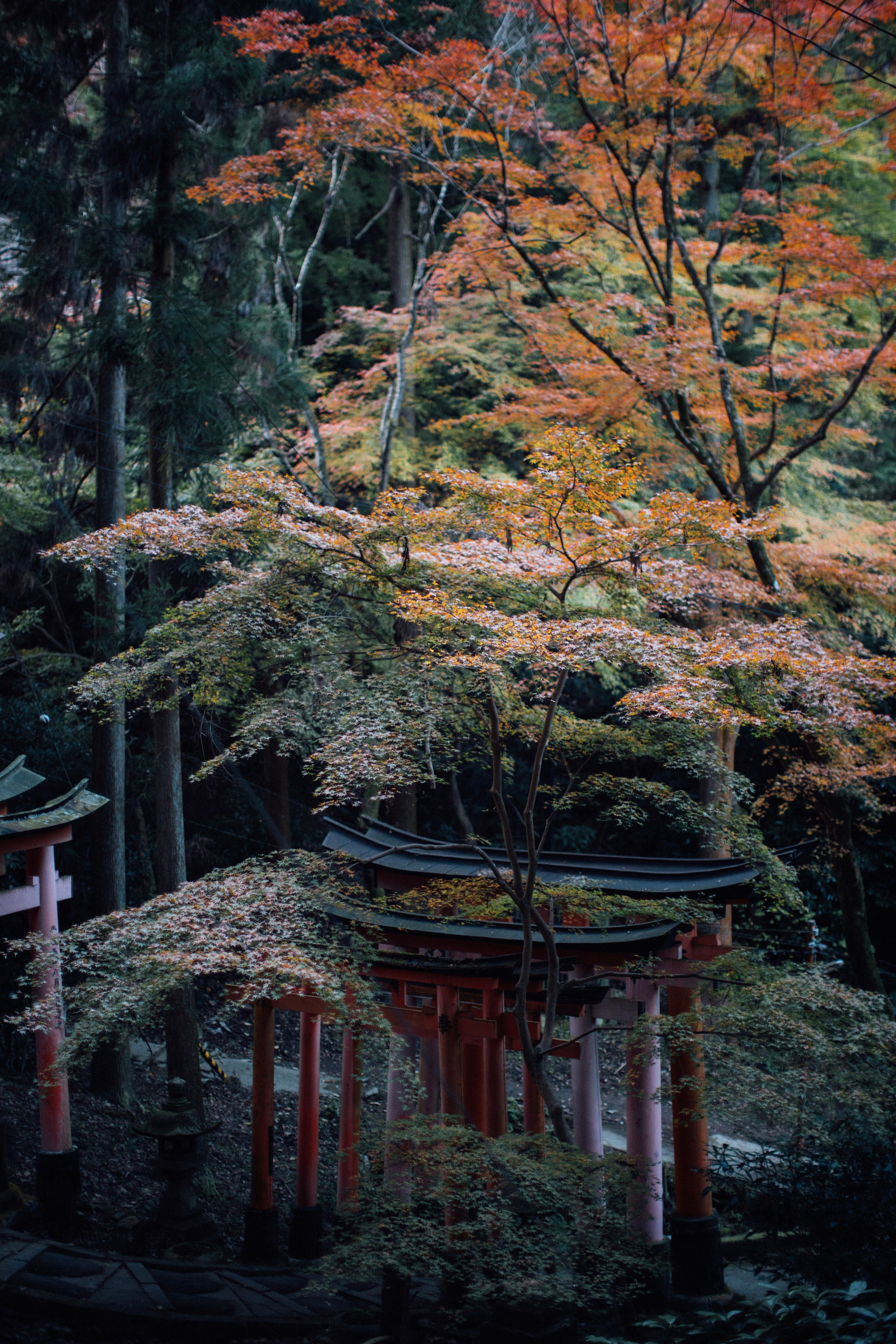 Япония. Главная