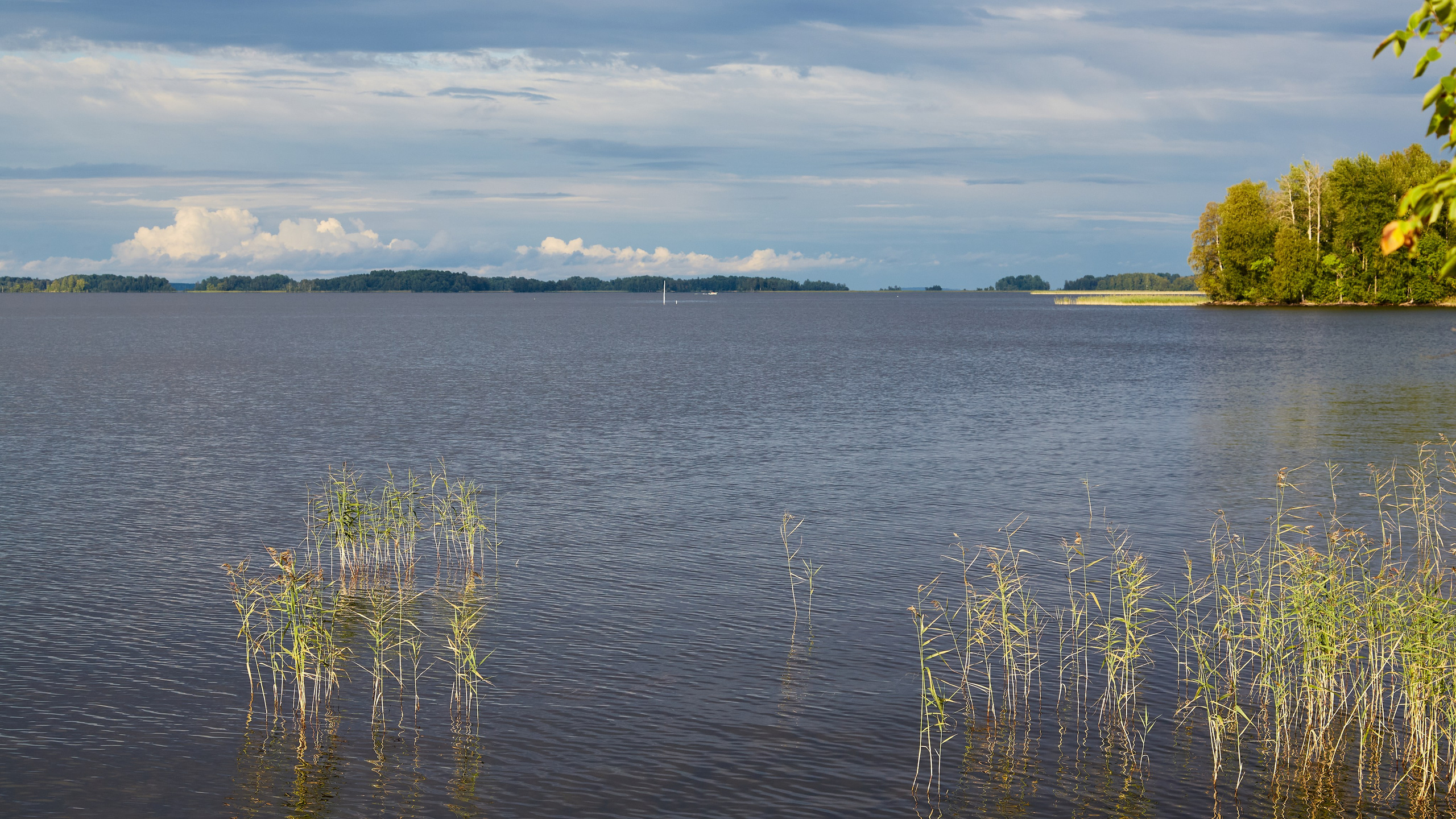 Кижи. Пейзажи Крайнего Севера. Баренцево море, Рыбачий, Средний, Немецкий