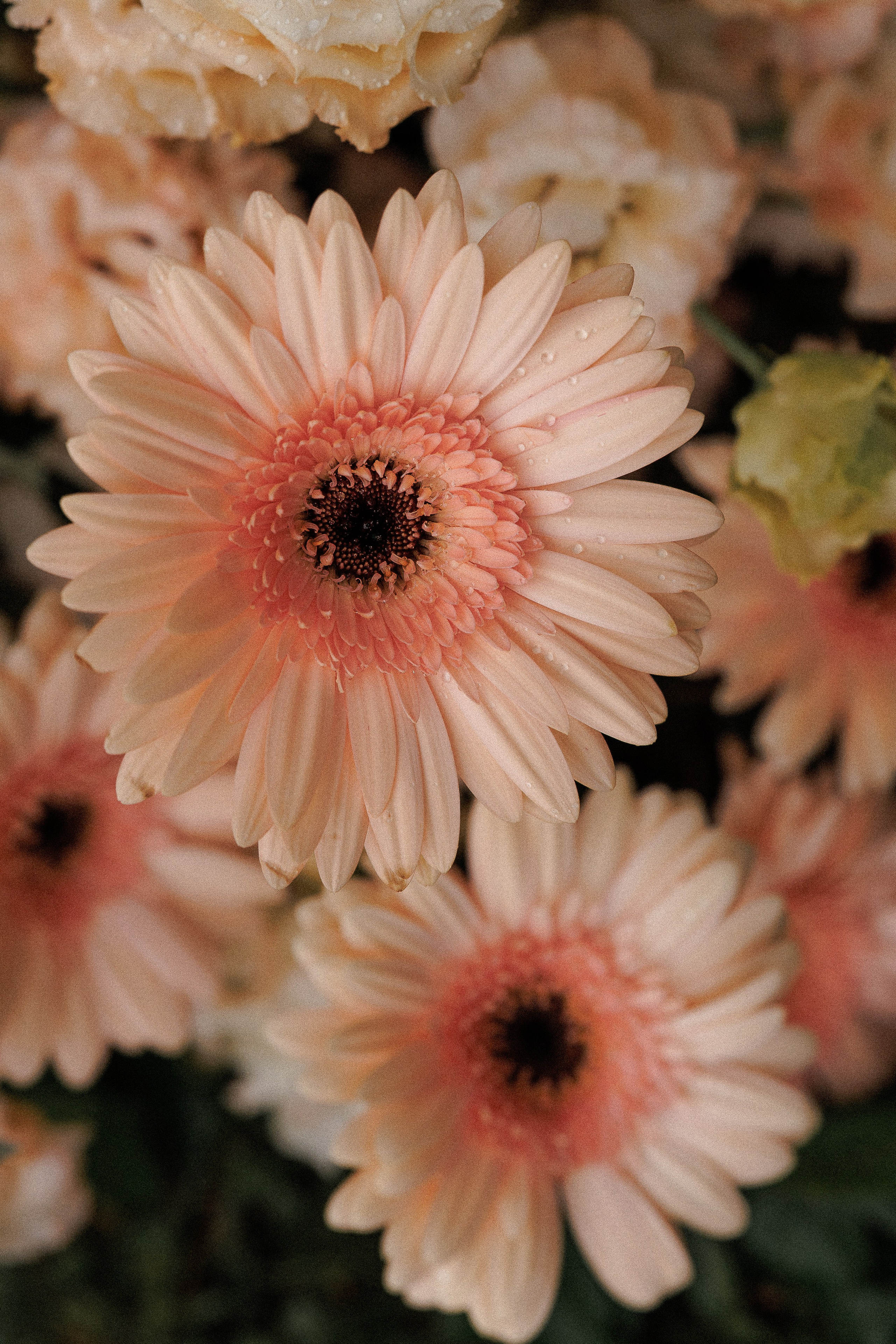 A & S. Свадебный и event-фотограф Иван Волнухин