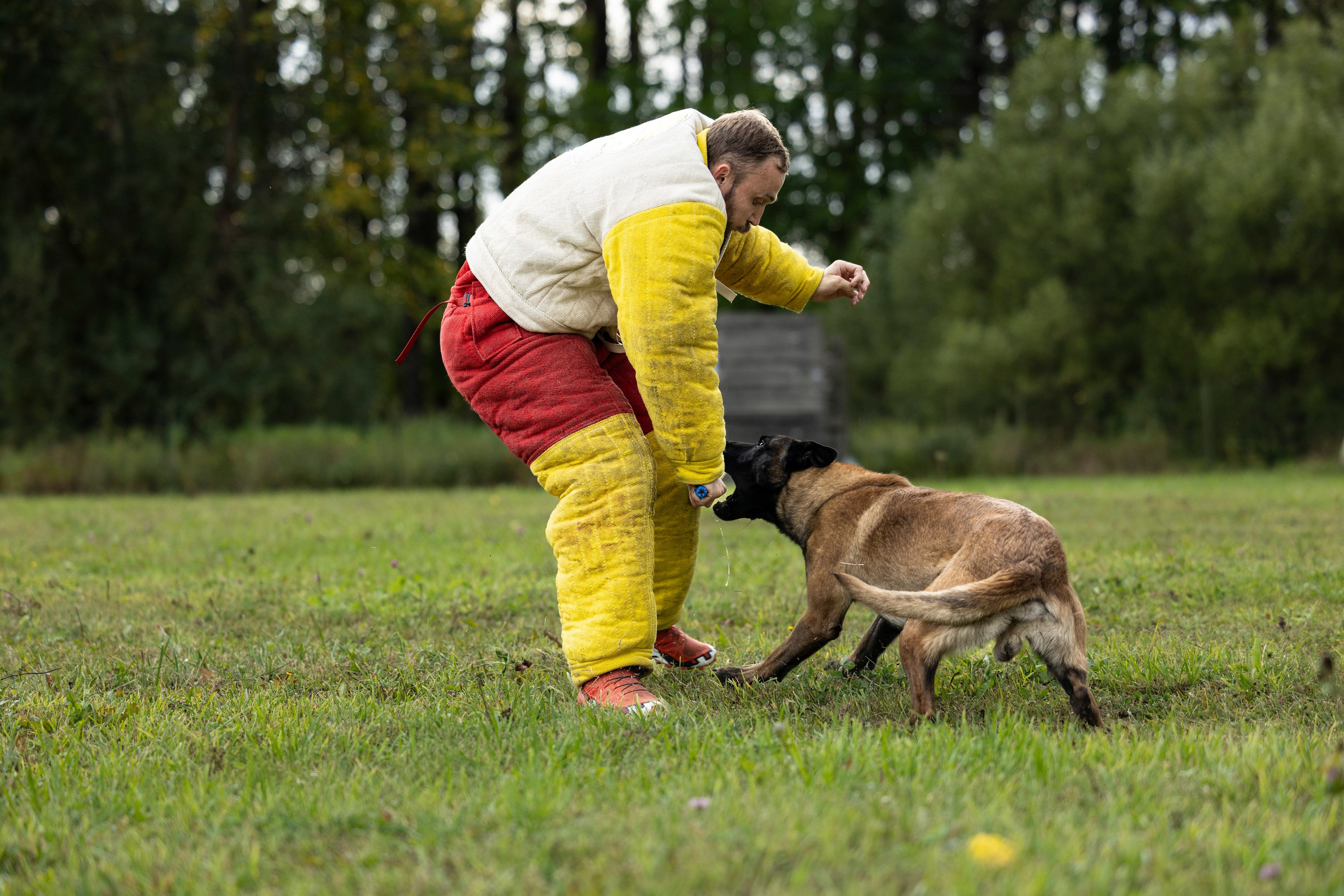 Испытания по Мондьорингу г. Пушкин. Фотограф-анималист Анна Маринич