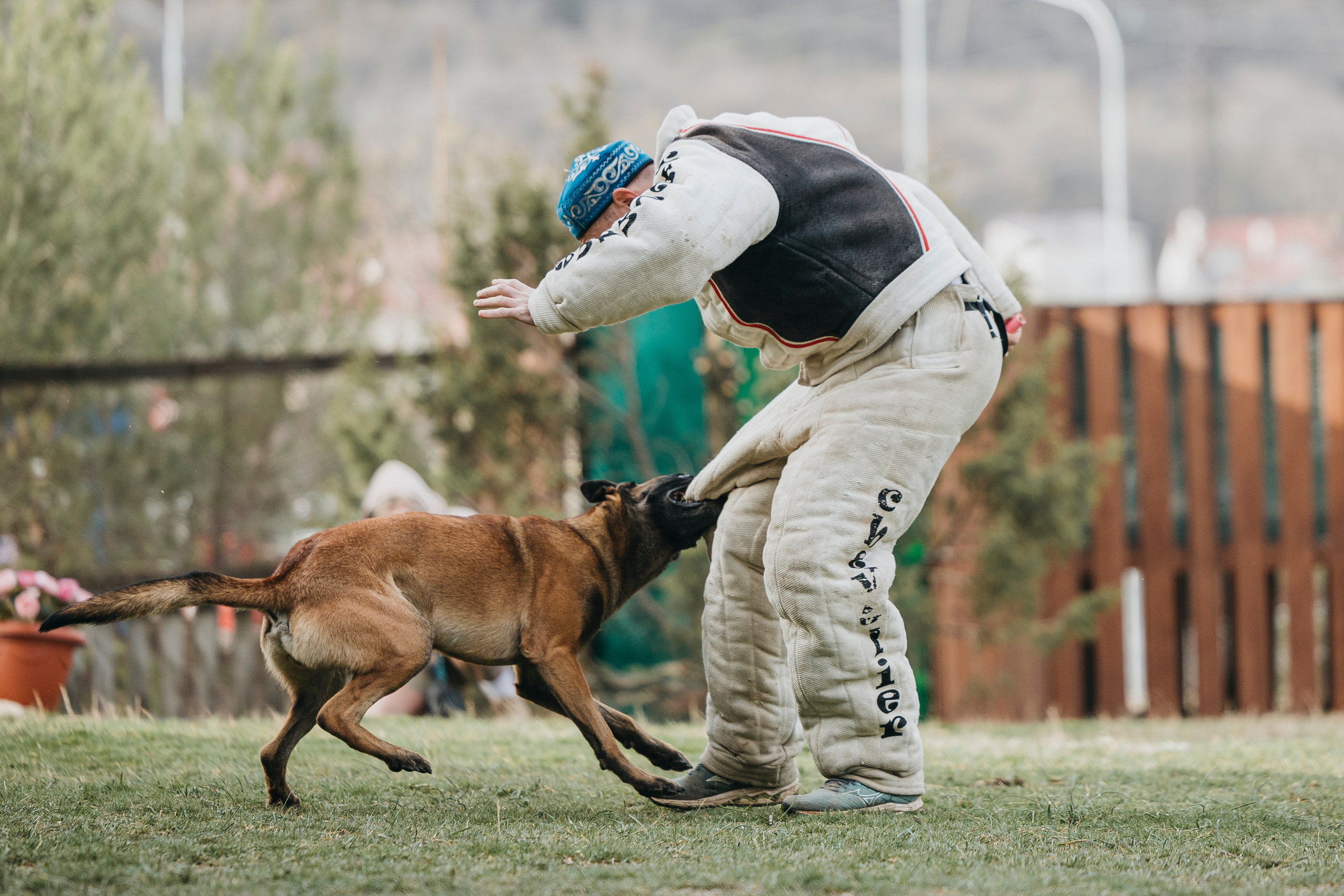 Геленджик Мондьоринг. Фотограф-анималист Анна Маринич