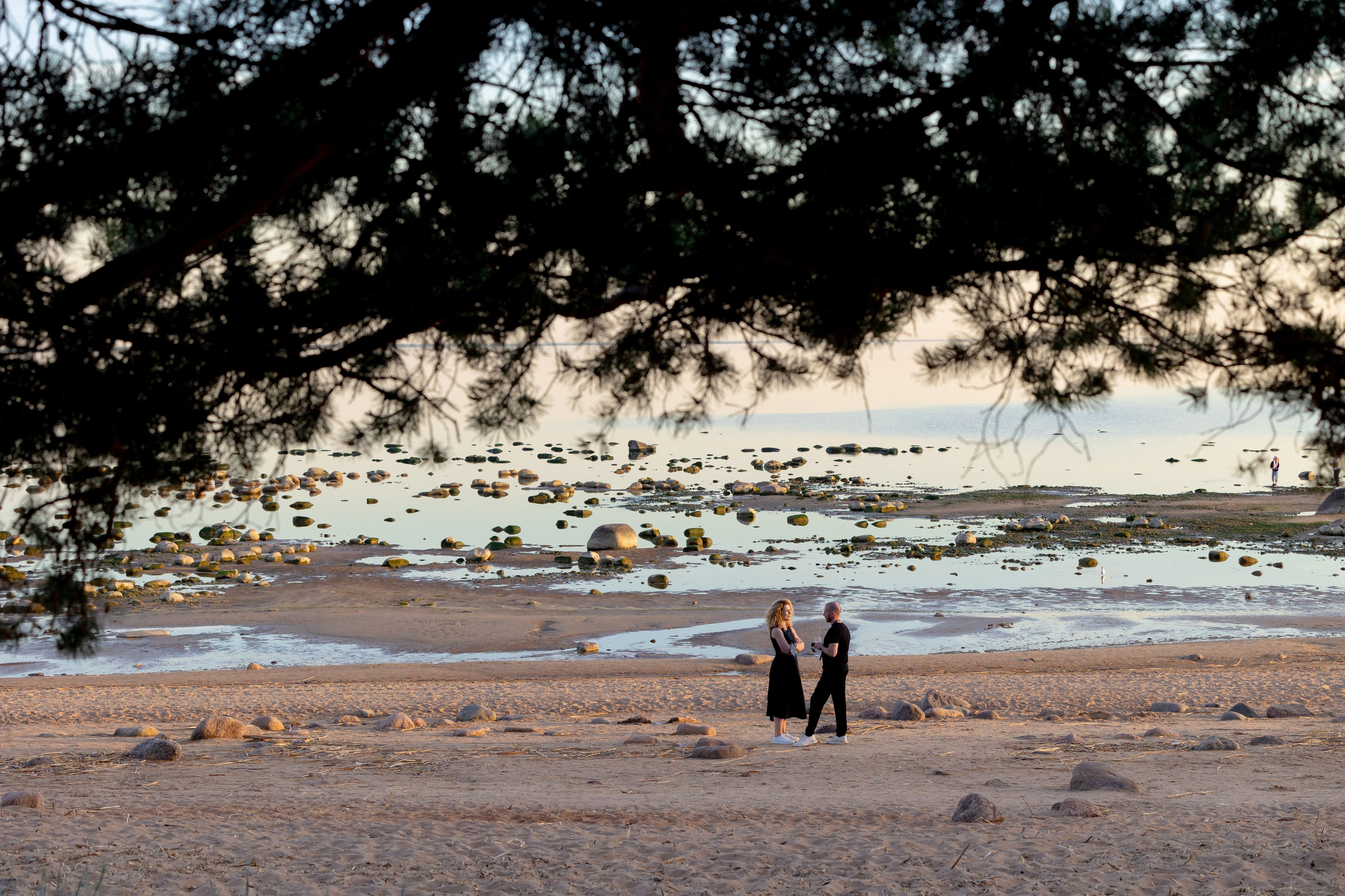 «Новые Горизонты» Санкт-Петербург. Агентство по организации мероприятий