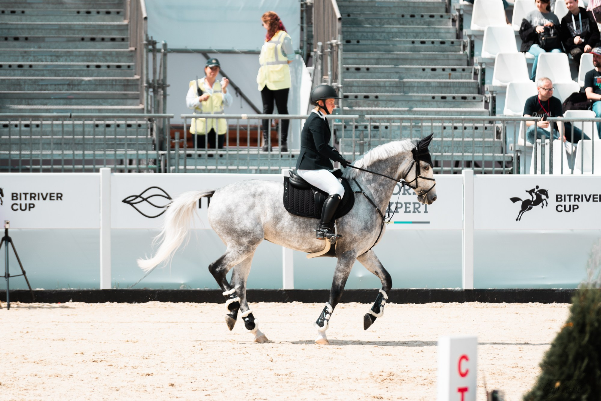 BITRIVER CUP 2023. Конный фотограф Куракина Дарья • Фотосессии с лошадьми