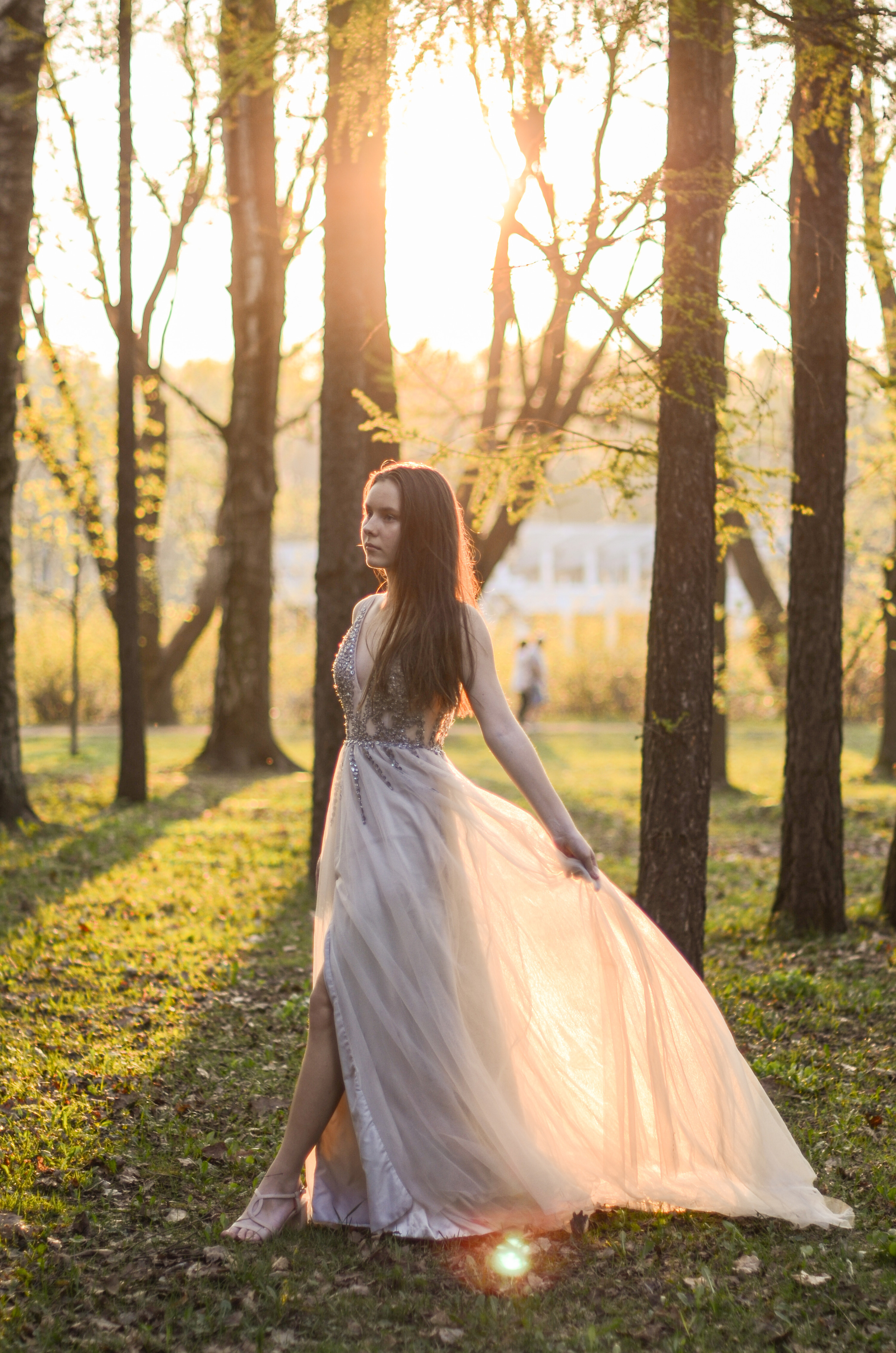 Май, цветущая сакура. Алина Стрелкова — фотограф