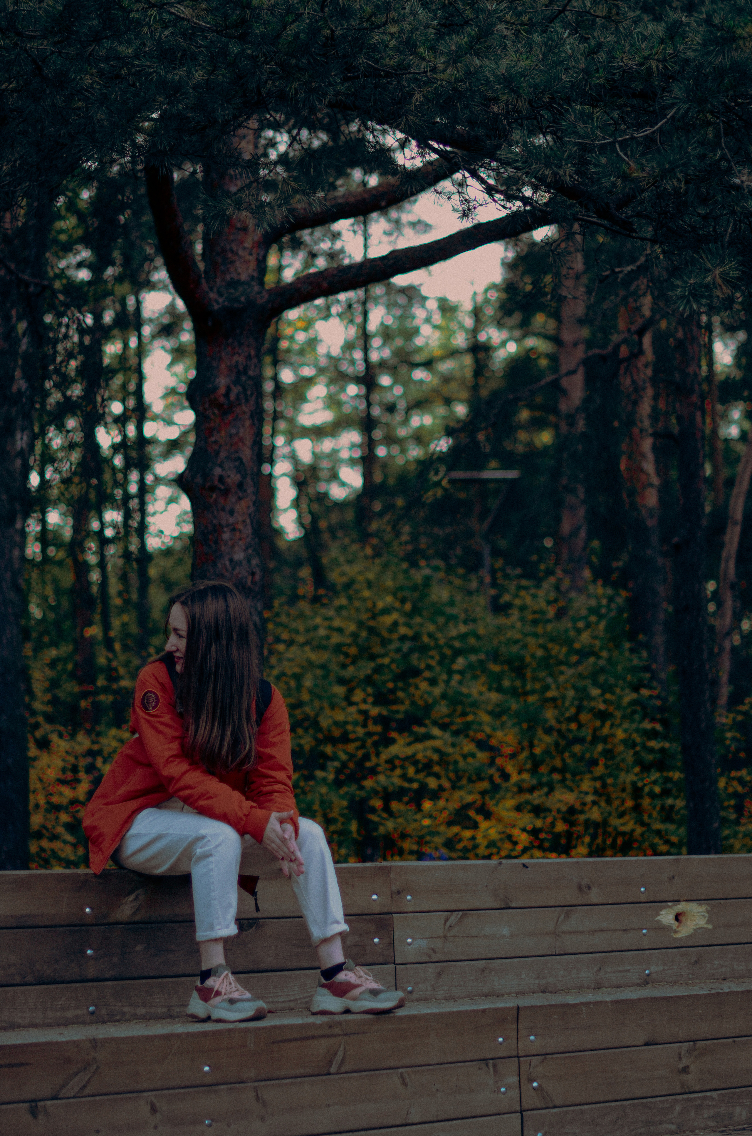 Осенний лес. Алина Стрелкова — фотограф