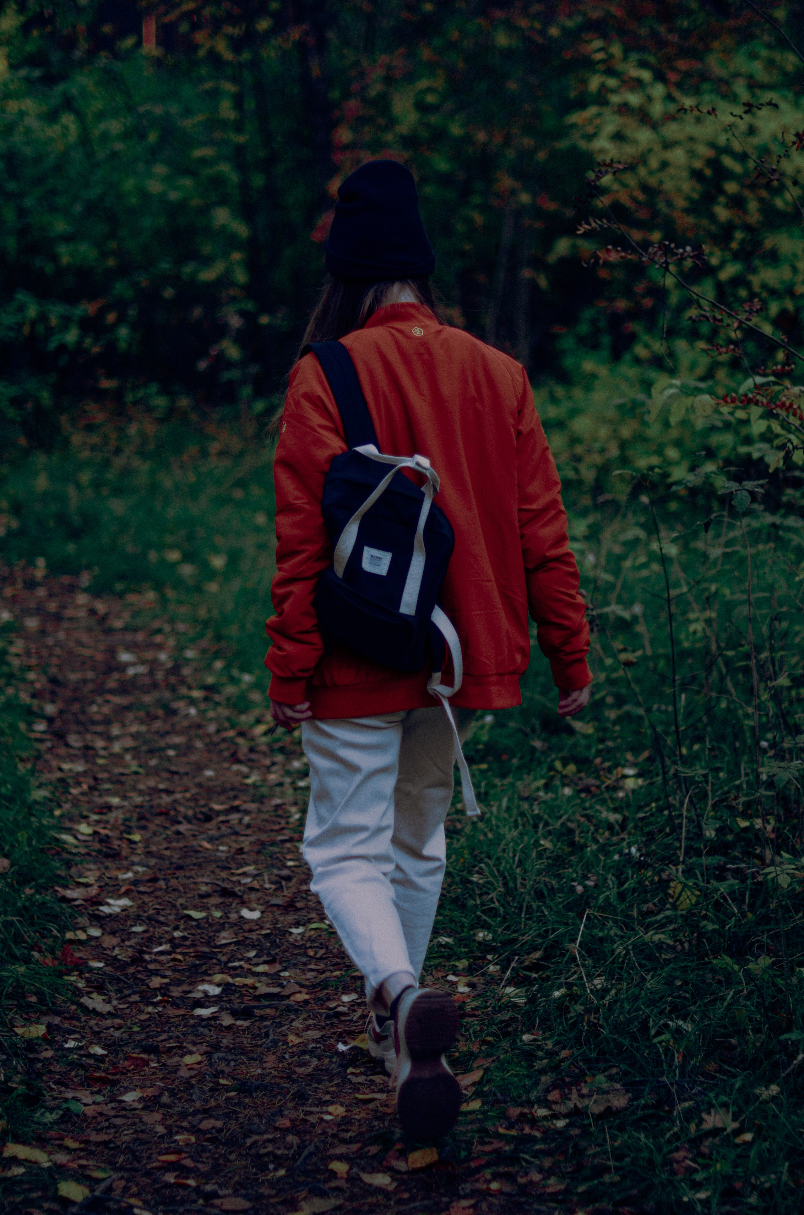 Осенний лес. Алина Стрелкова — фотограф