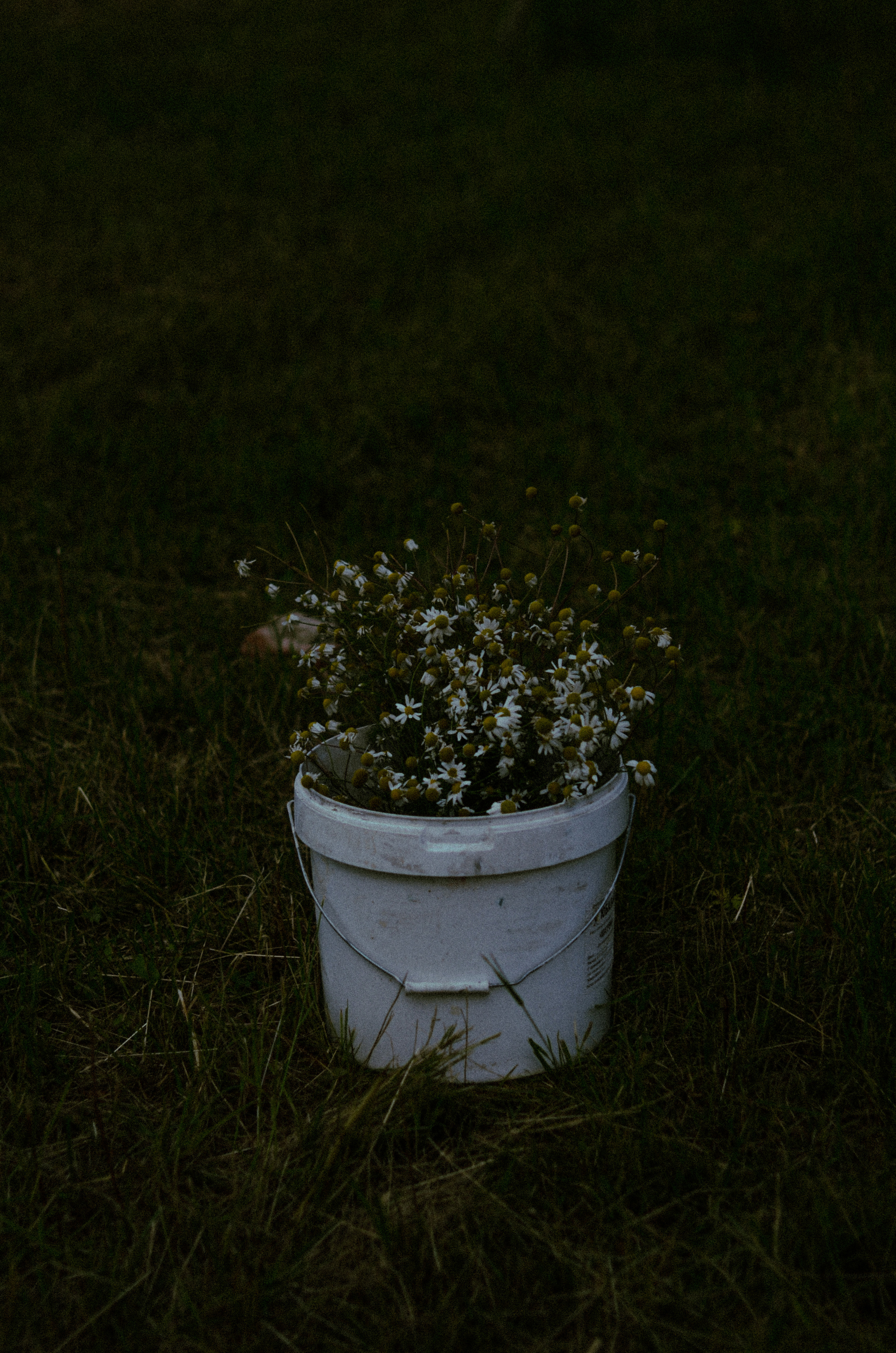 Самая спонтанная и атмосферная съёмка. Алина Стрелкова — фотограф