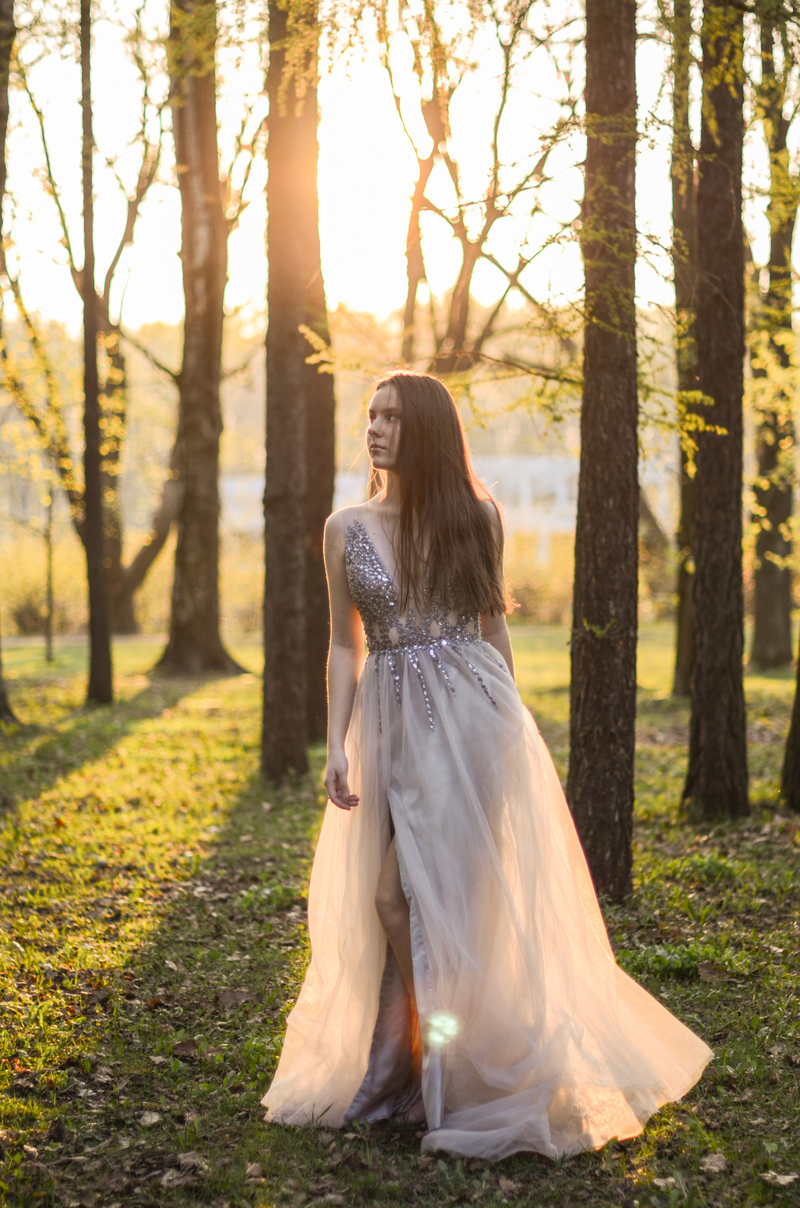 Май, цветущая сакура. Алина Стрелкова — фотограф