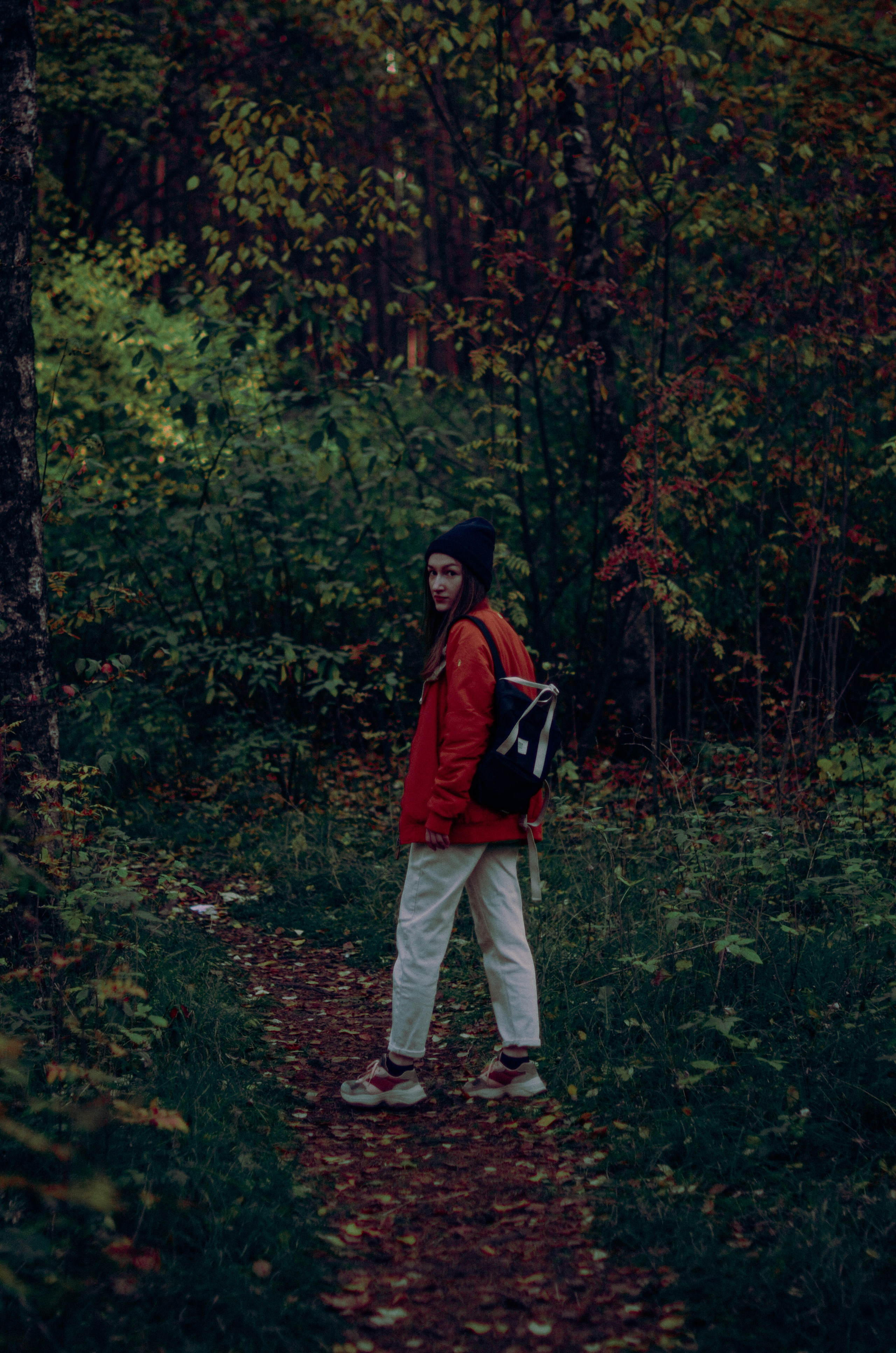 Осенний лес. Алина Стрелкова — фотограф