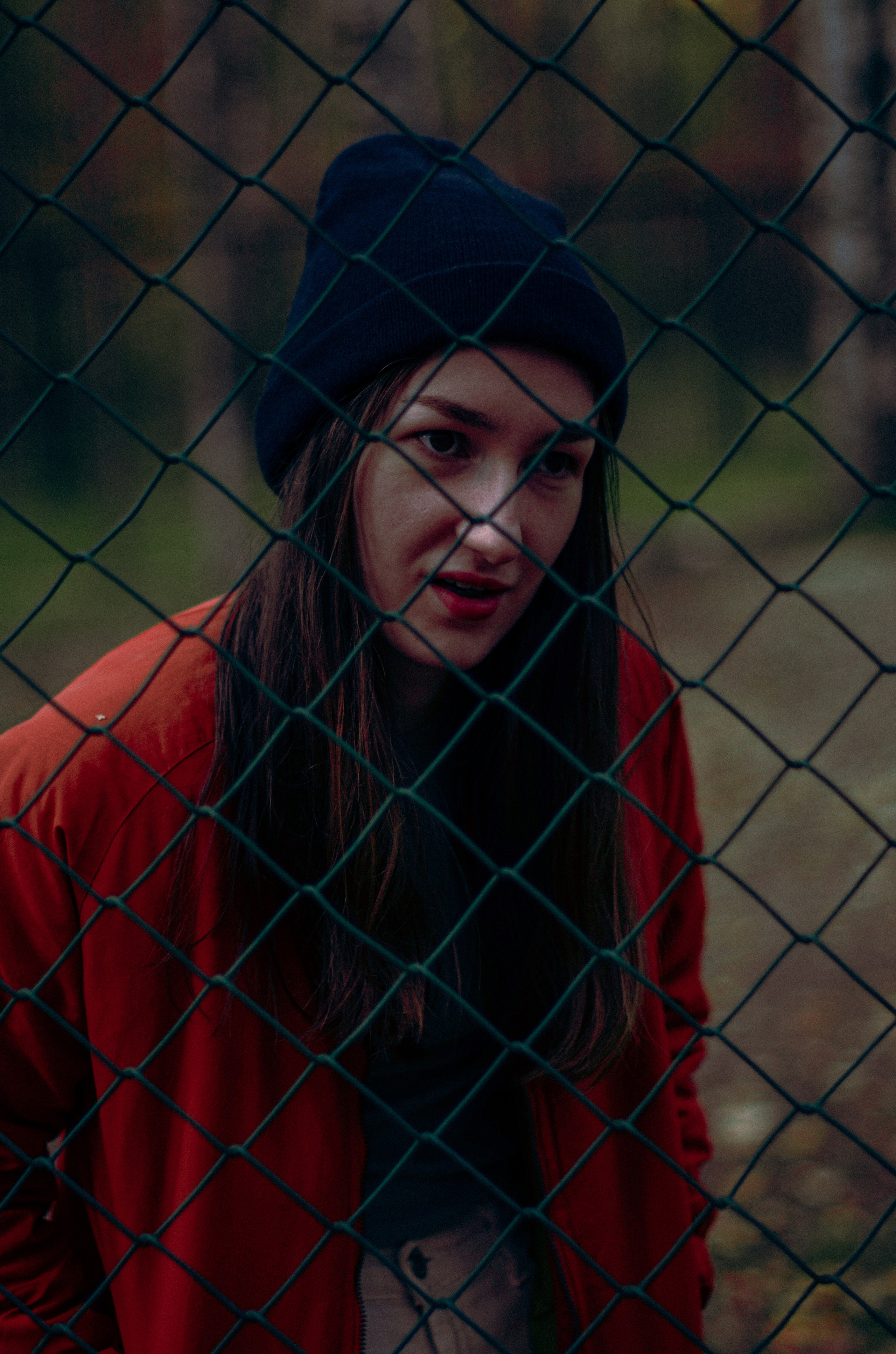 Осенний лес. Алина Стрелкова — фотограф