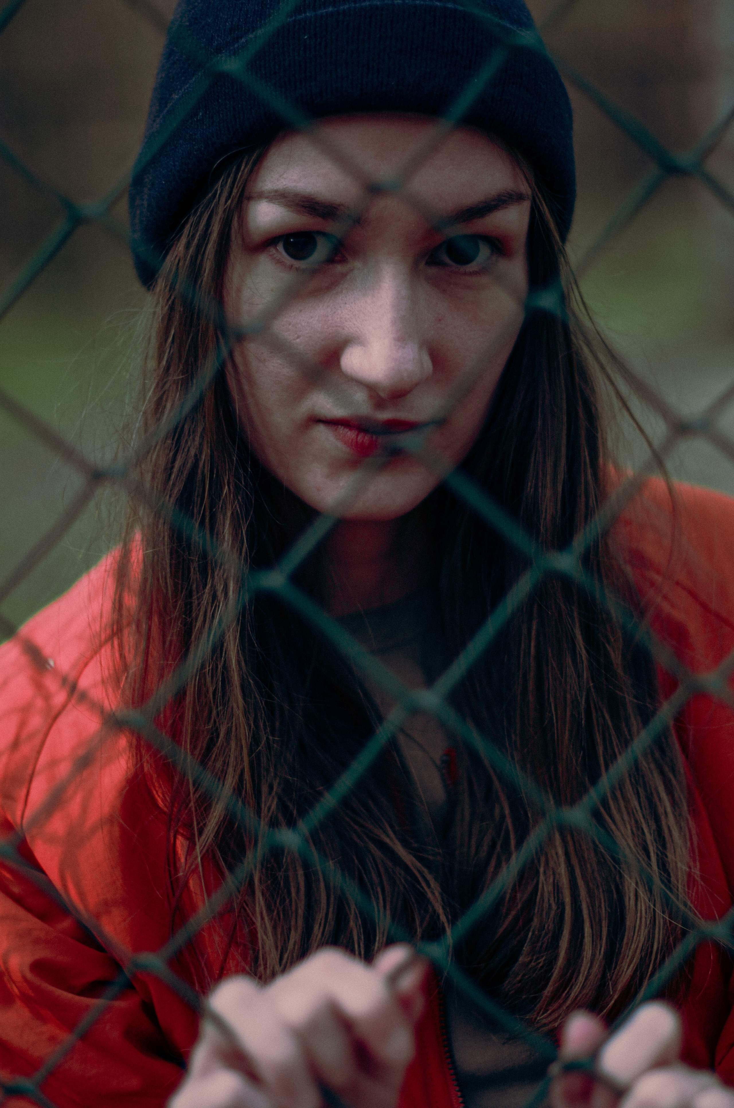 Осенний лес. Алина Стрелкова — фотограф