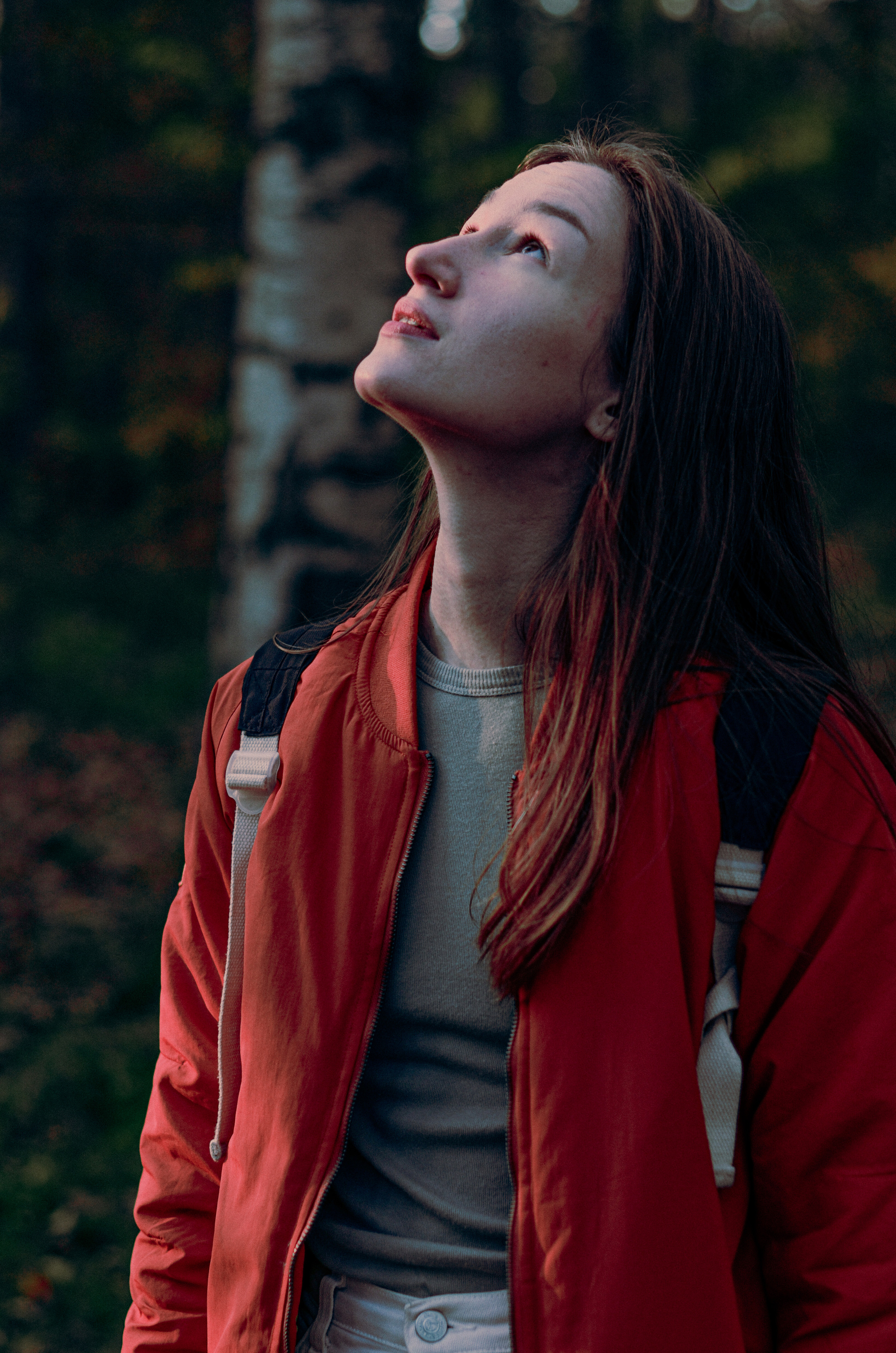 Осенний лес. Алина Стрелкова — фотограф